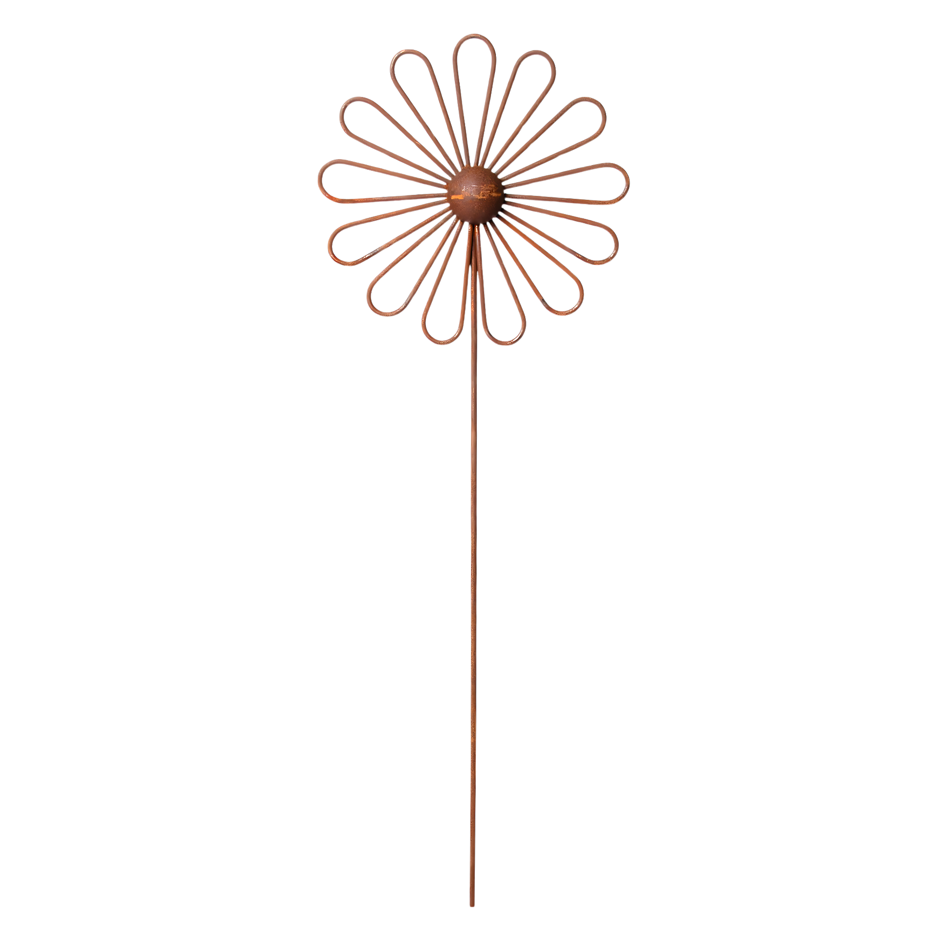 Darstellung von Sonnenblume gross