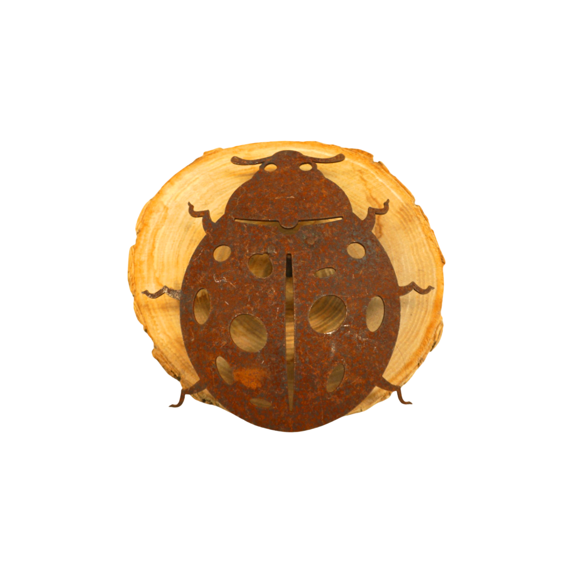 Darstellung von Käfer mit Dorn ROST