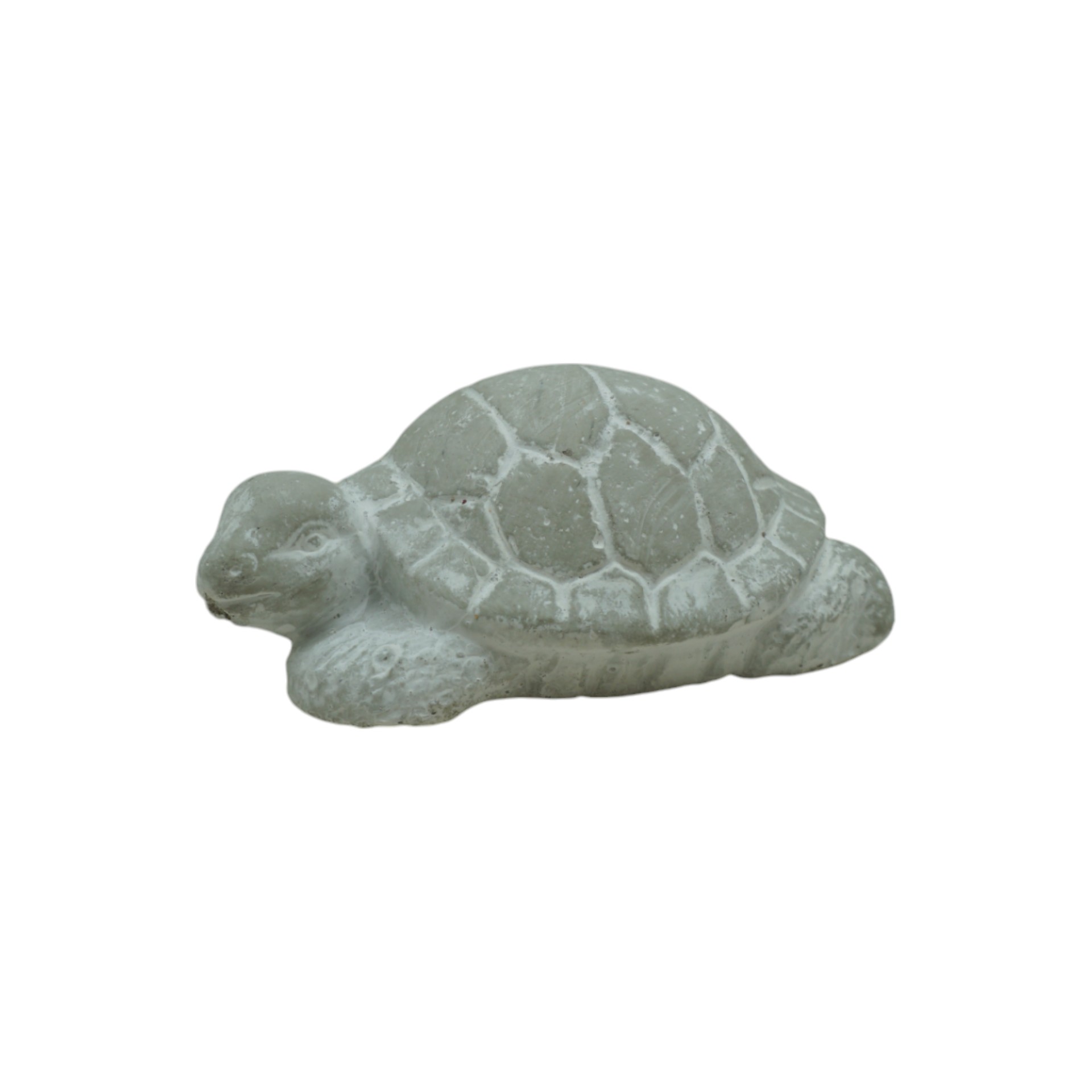 RP Schildkröte creme weiss glasiert Darstellung von RP Schildkröte creme weiss glasiert