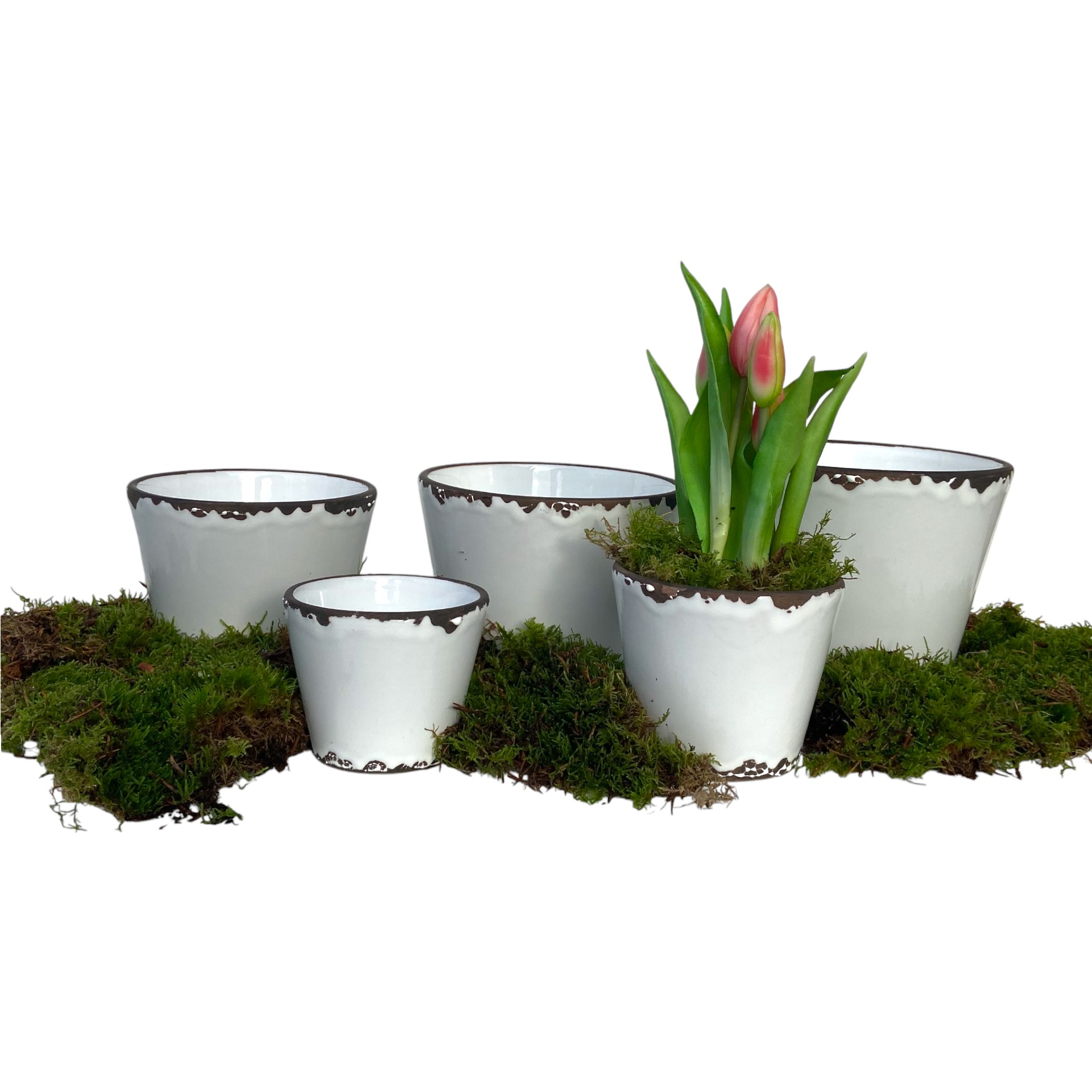 Darstellung von RP Topf Flora WEISS 10x8,5 cm