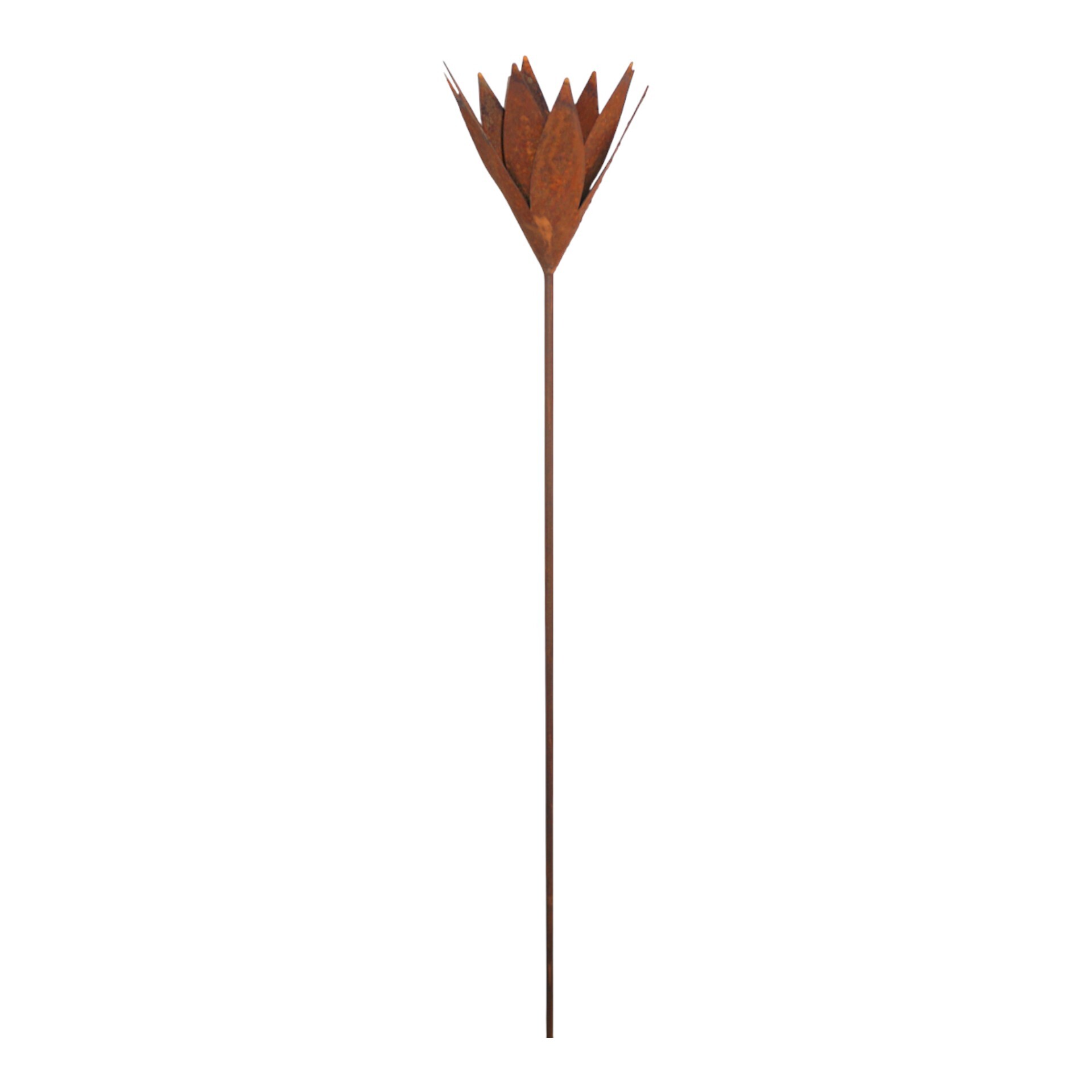 Darstellung von Spitze Blüte auf Stab