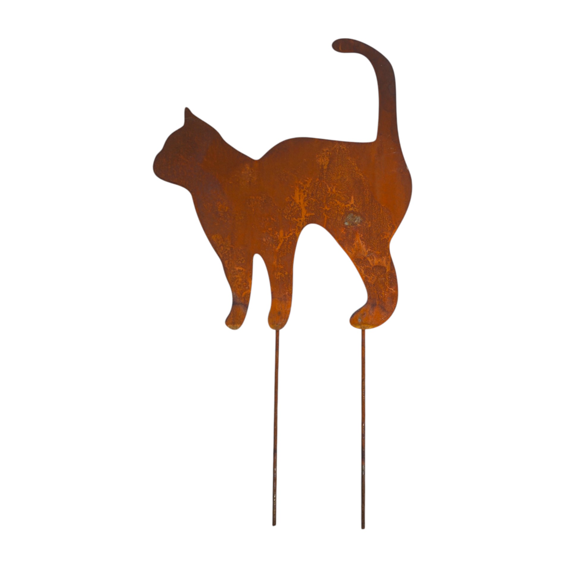 Darstellung von Katze mit Buckel klein