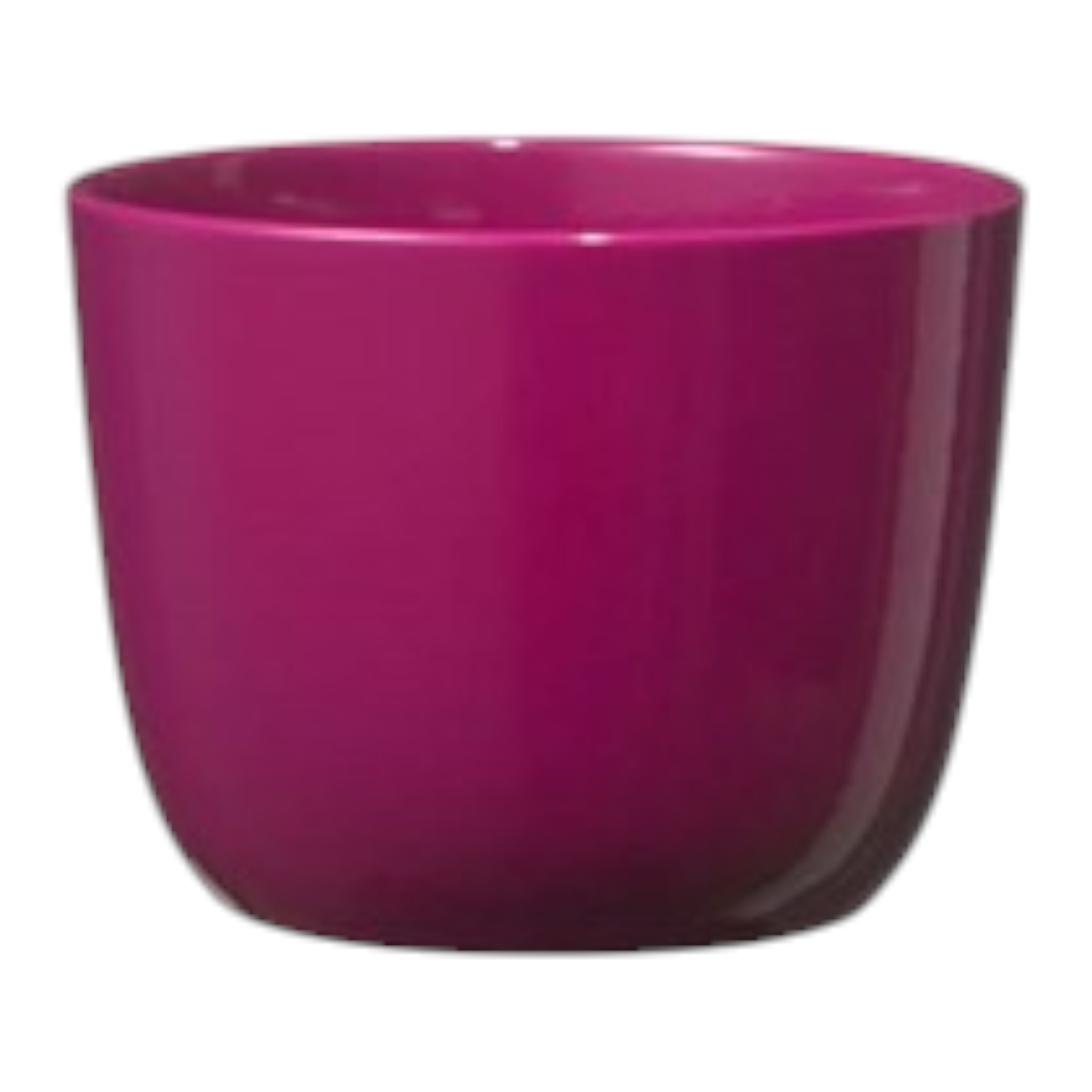 ÜT Sevilla brombeer shiny Darstellung von ÜT Sevilla brombeer shiny