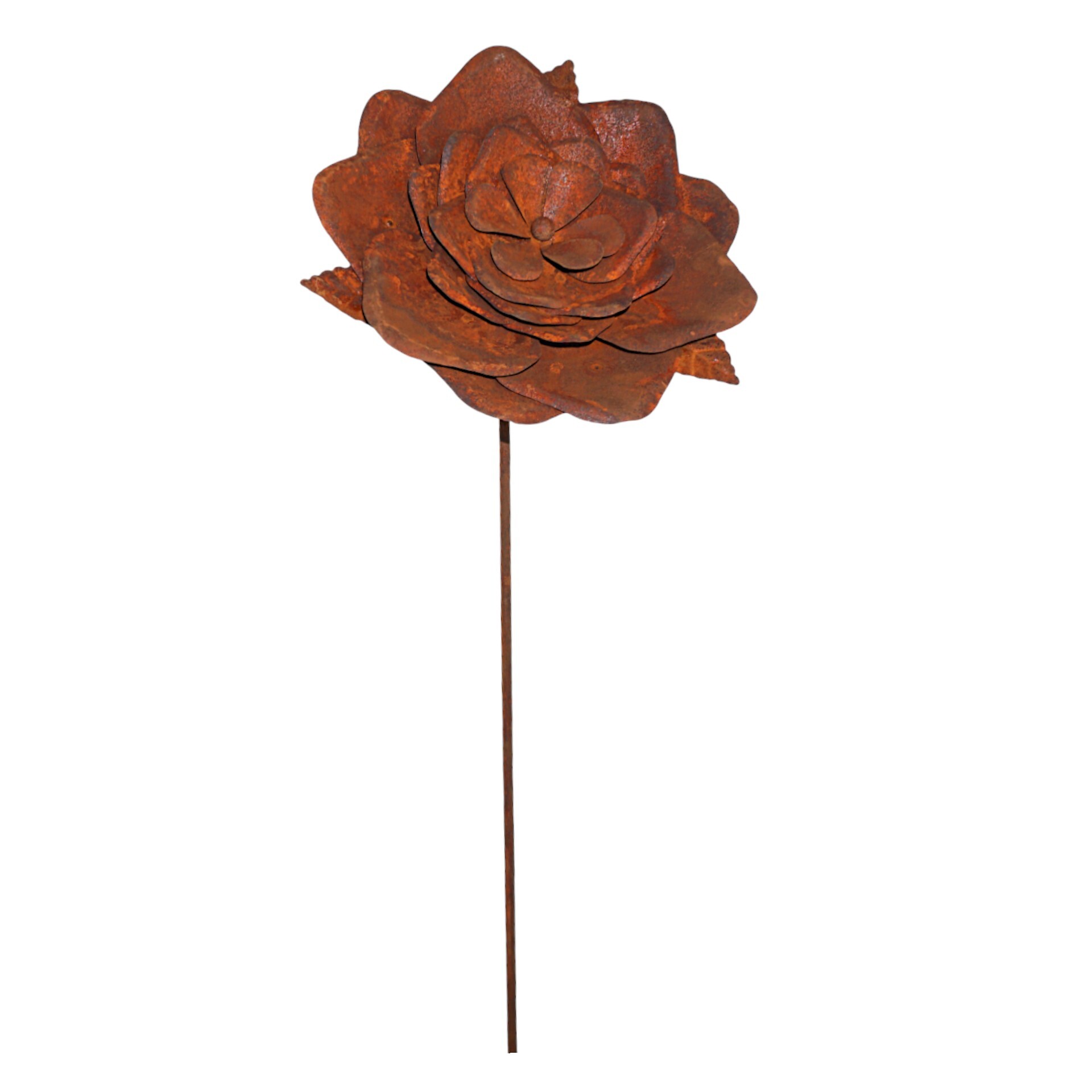 Darstellung von Rose a. Stab rost d= 30 cm