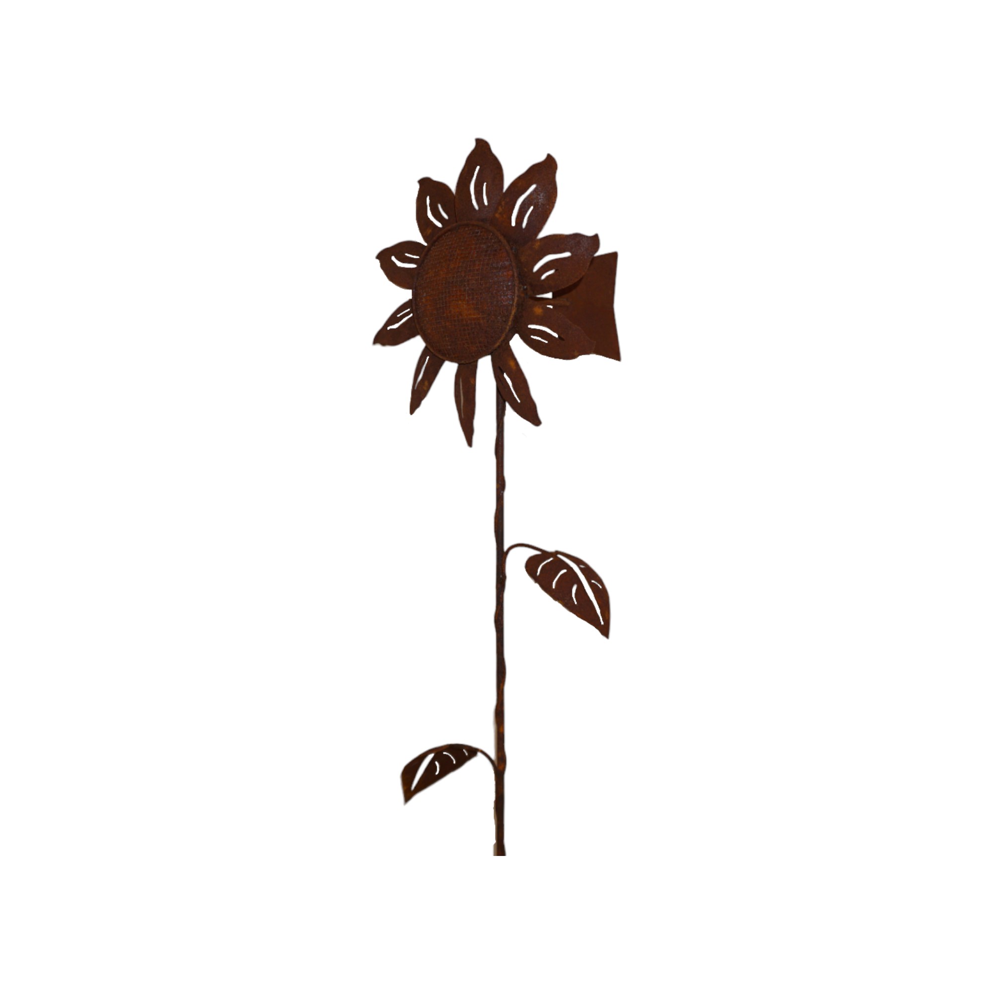 Darstellung von Propeller Sonnenblume h= 147 cm