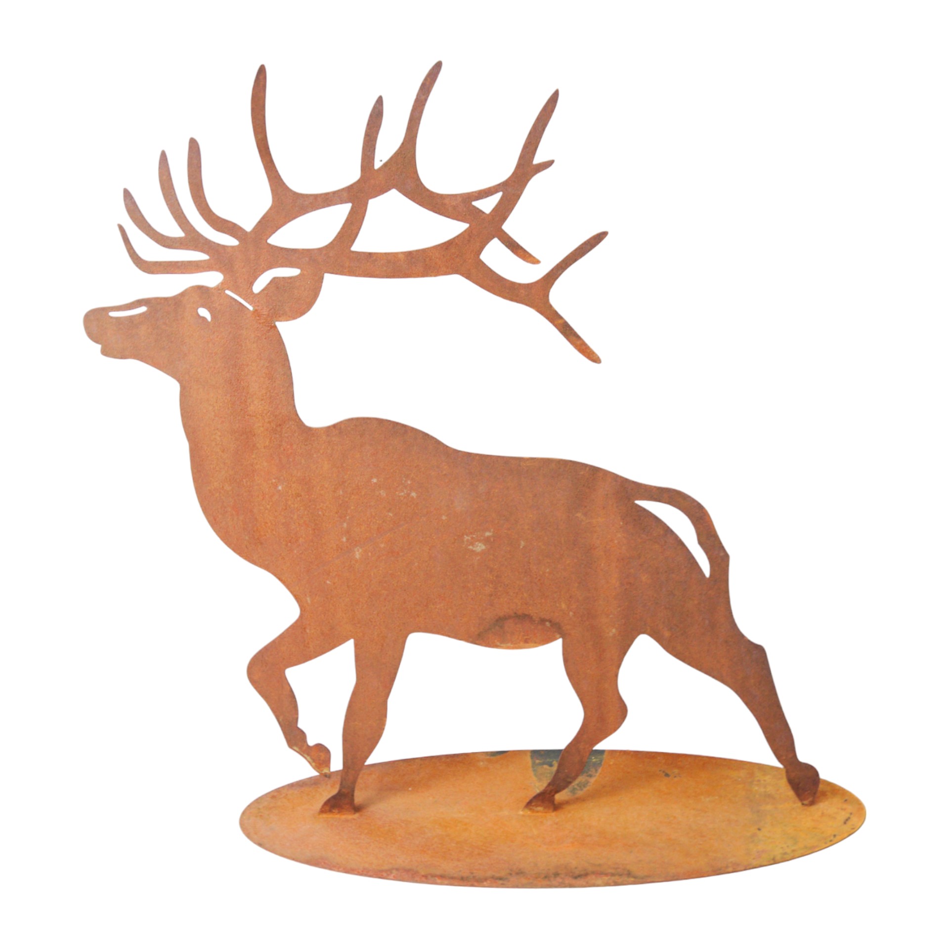 Darstellung von Hirsch GROSS stehend