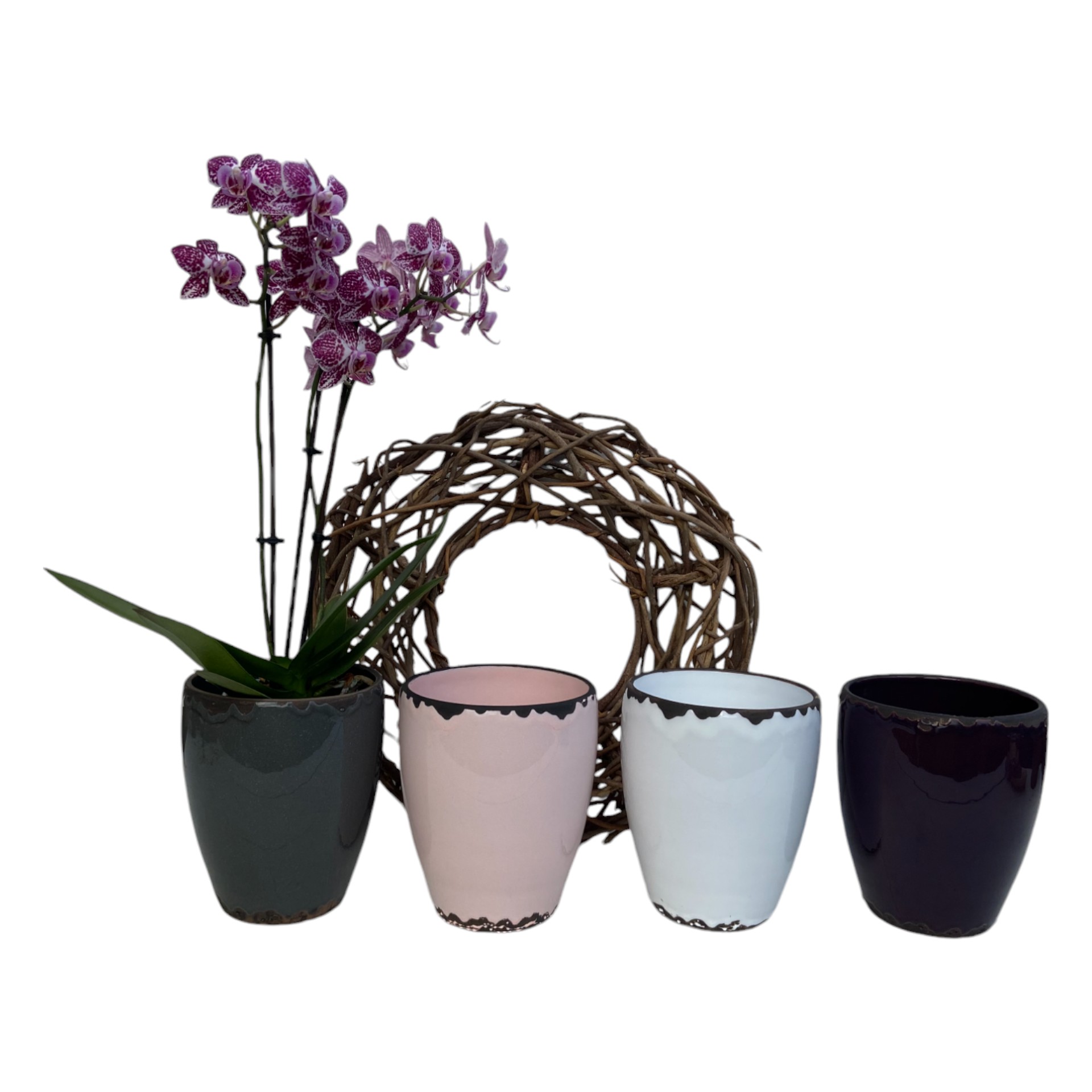 Darstellung von RP Orchideentopf DUNKELGRAU 13x16 cm