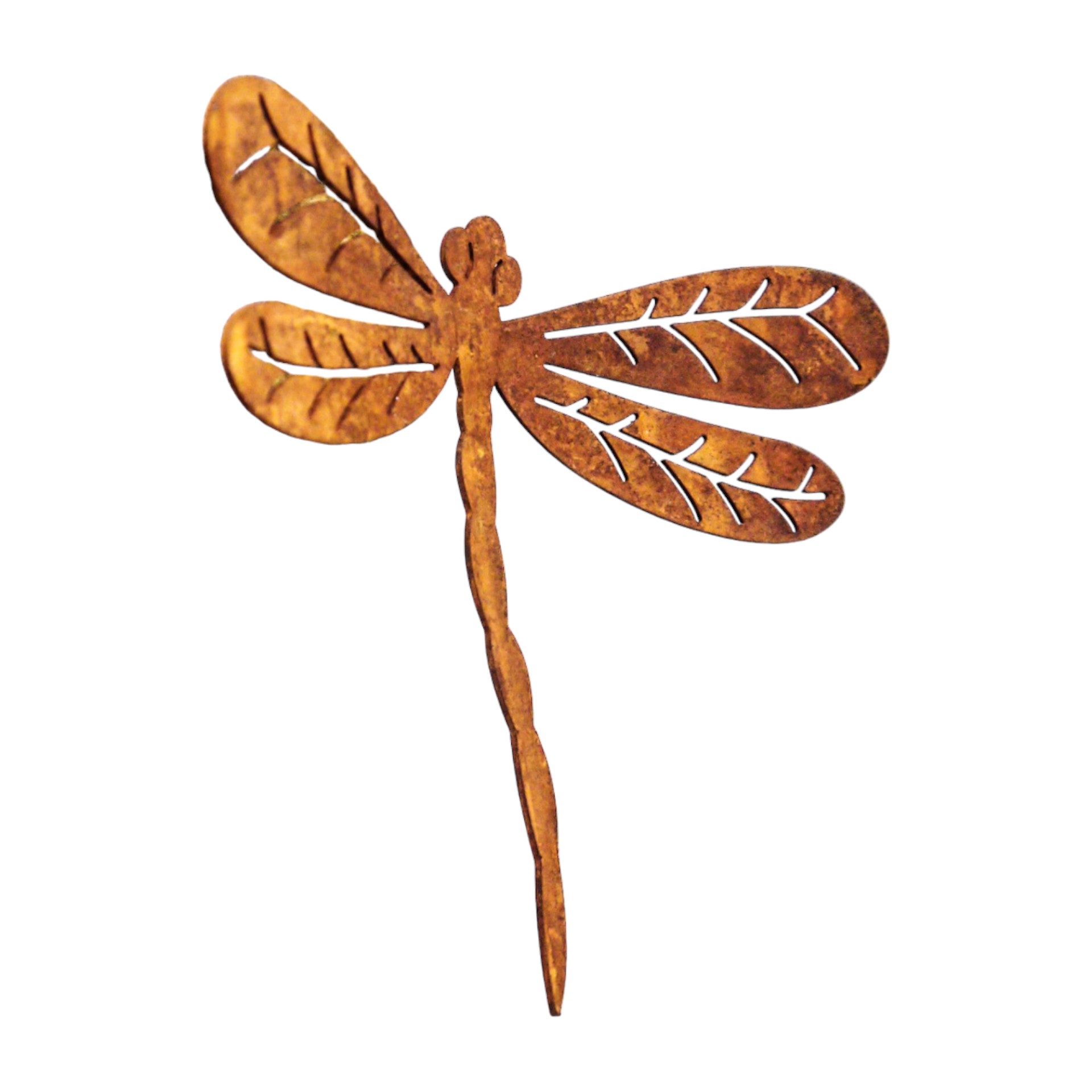 Libelle m. Dorn rost Darstellung von Libelle m. Dorn rost