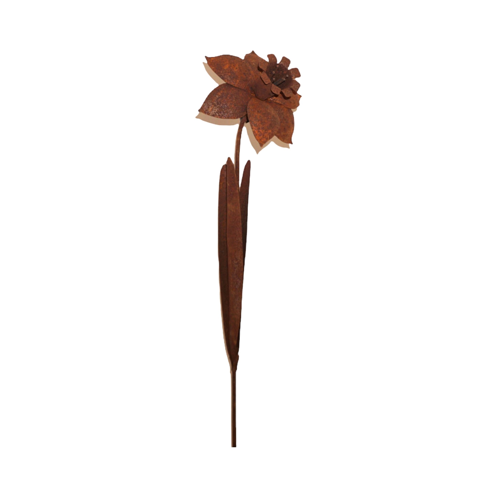 Darstellung von Narzisse z. Stecken rost, h= 110 cm, b= 22 cm