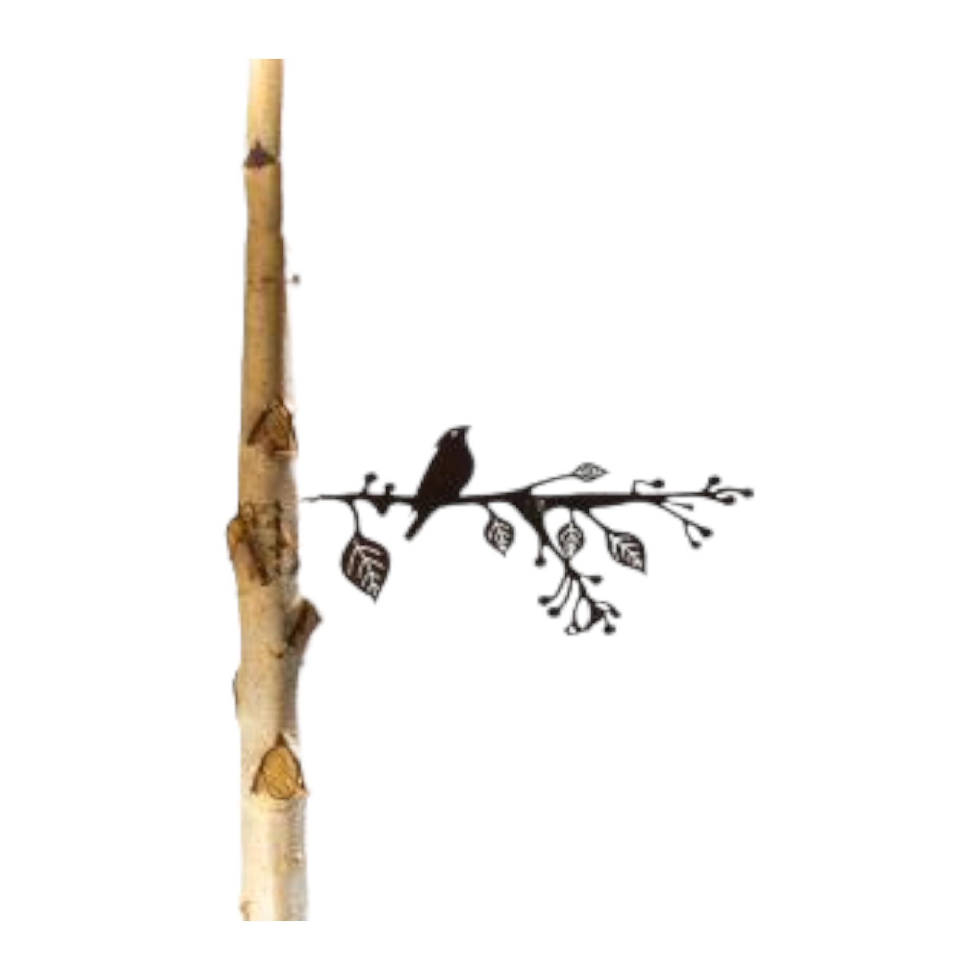 Ast mit 1 Vogel mit Dorn,  32,5x14,5 cm Darstellung von Ast mit 1 Vogel mit Dorn,  32,5x14,5 cm