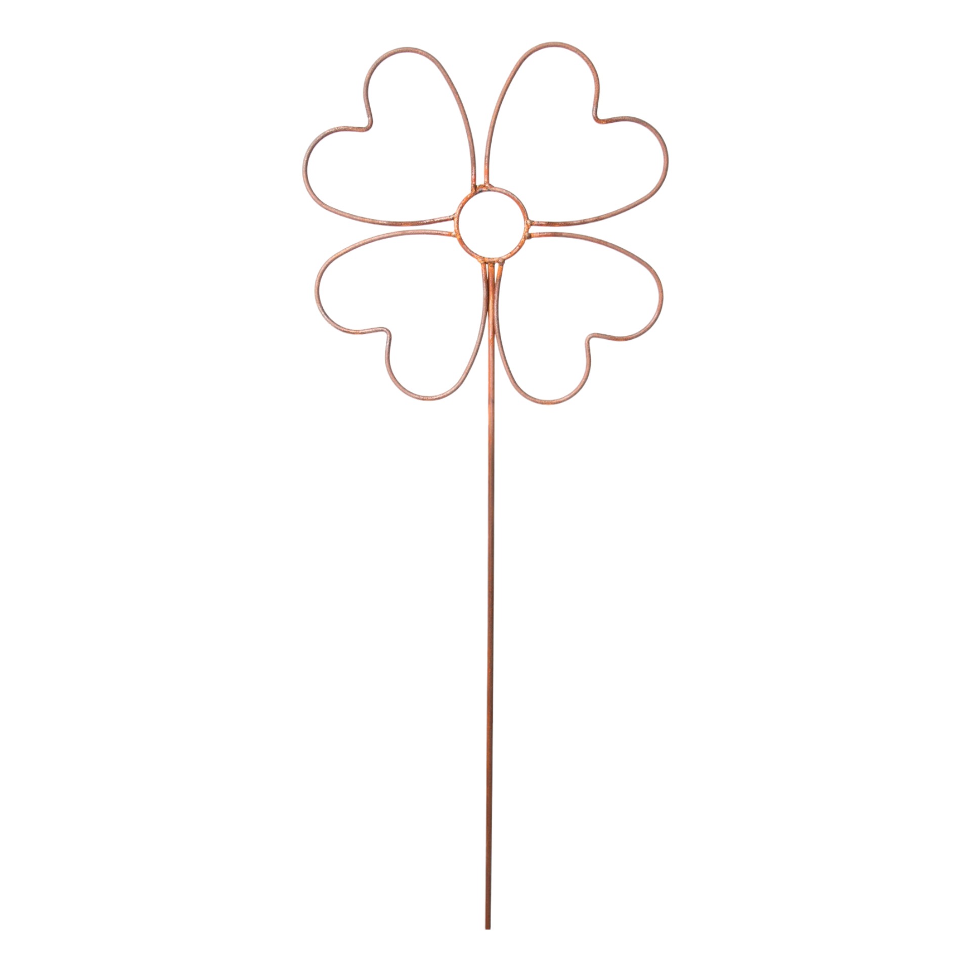 Darstellung von Herzblume gross