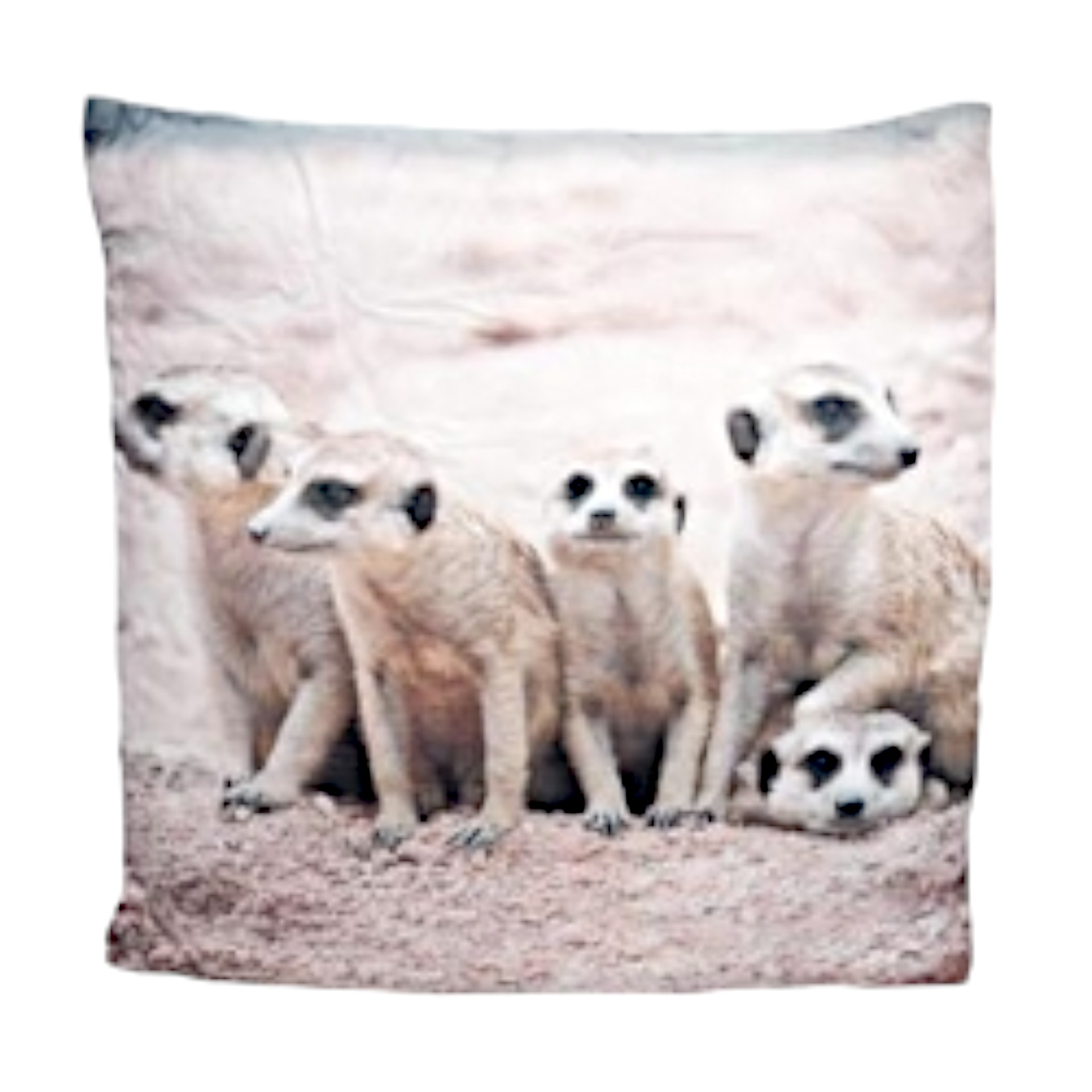 RP Polster Erdmännchen 60x60 cm Darstellung von RP Polster Erdmännchen 60x60 cm