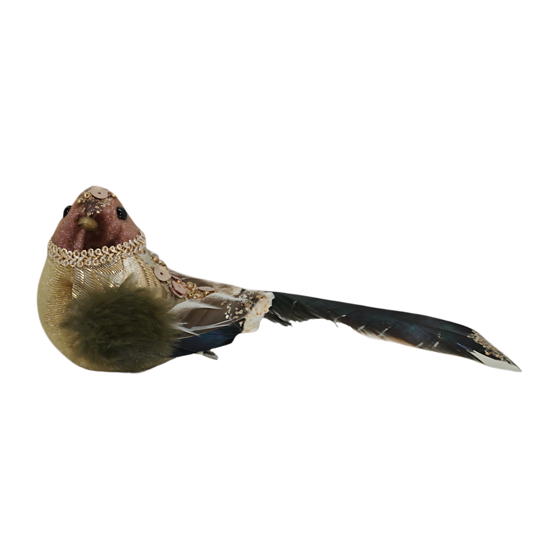 Darstellung von RP Vogel bekleidet m. Clip