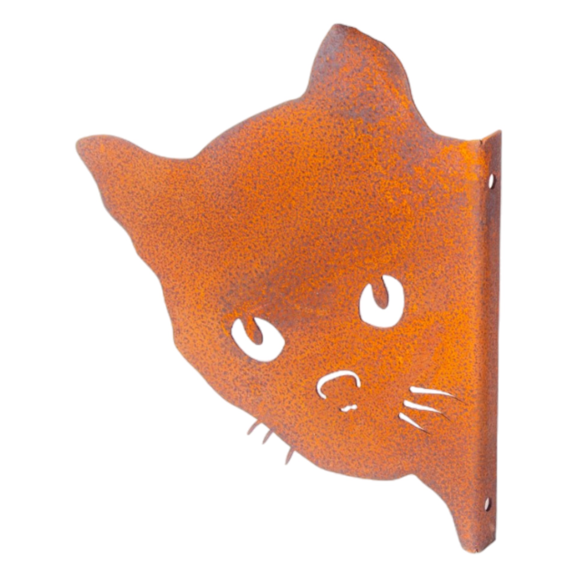 Katzenkopf Tiger klein Darstellung von Katzenkopf Tiger klein