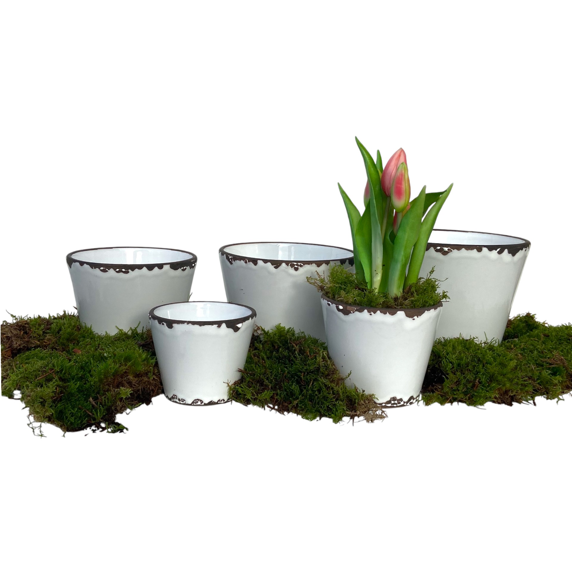 Darstellung von RP Topf Flora WEISS 8,5x7 cm