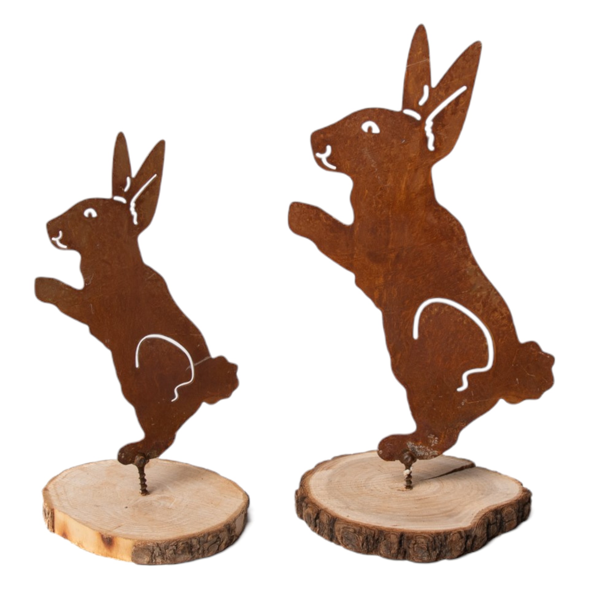 Hase klein mit Dorn Darstellung von Hase klein mit Dorn