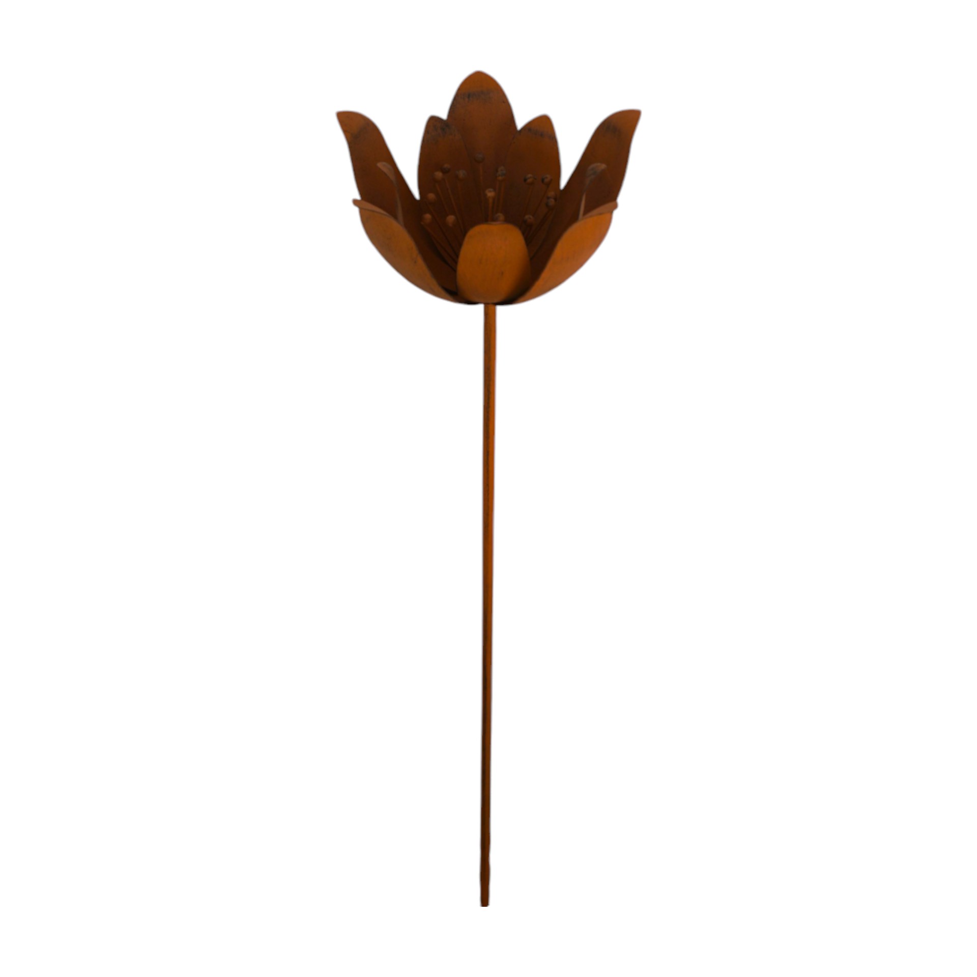 Darstellung von Lotus Blume rost a. Stab