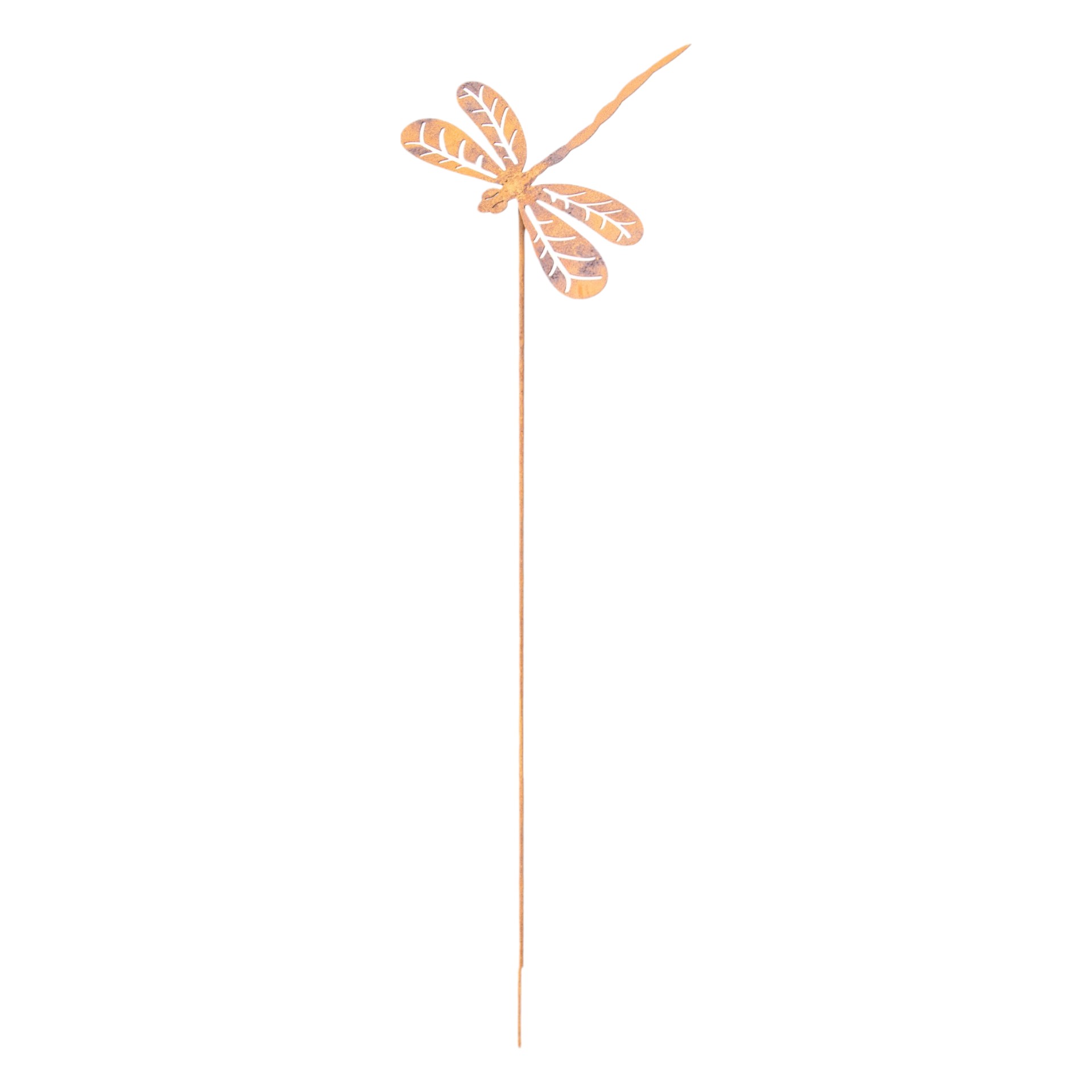 Darstellung von Libelle offen auf Stab, 13,5x17,5, h= 60 cm
