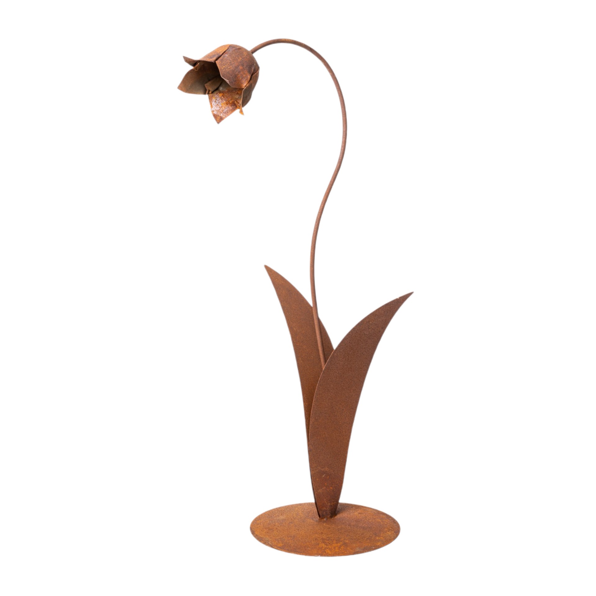 Glockenblume klein 1 Blüte auf Platte Darstellung von Glockenblume klein 1 Blüte auf Platte