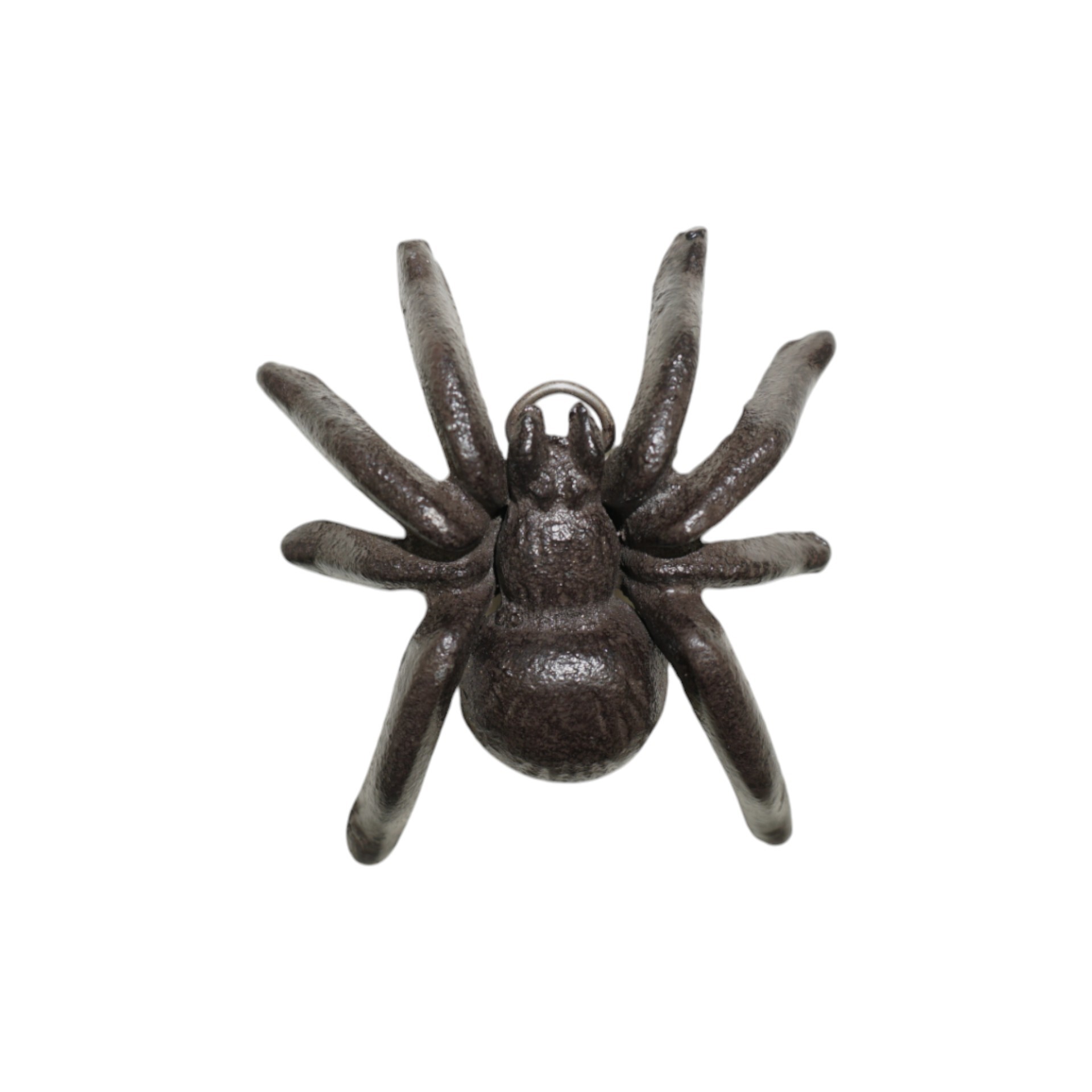 Spinne z. Stellen Darstellung von Spinne z. Stellen