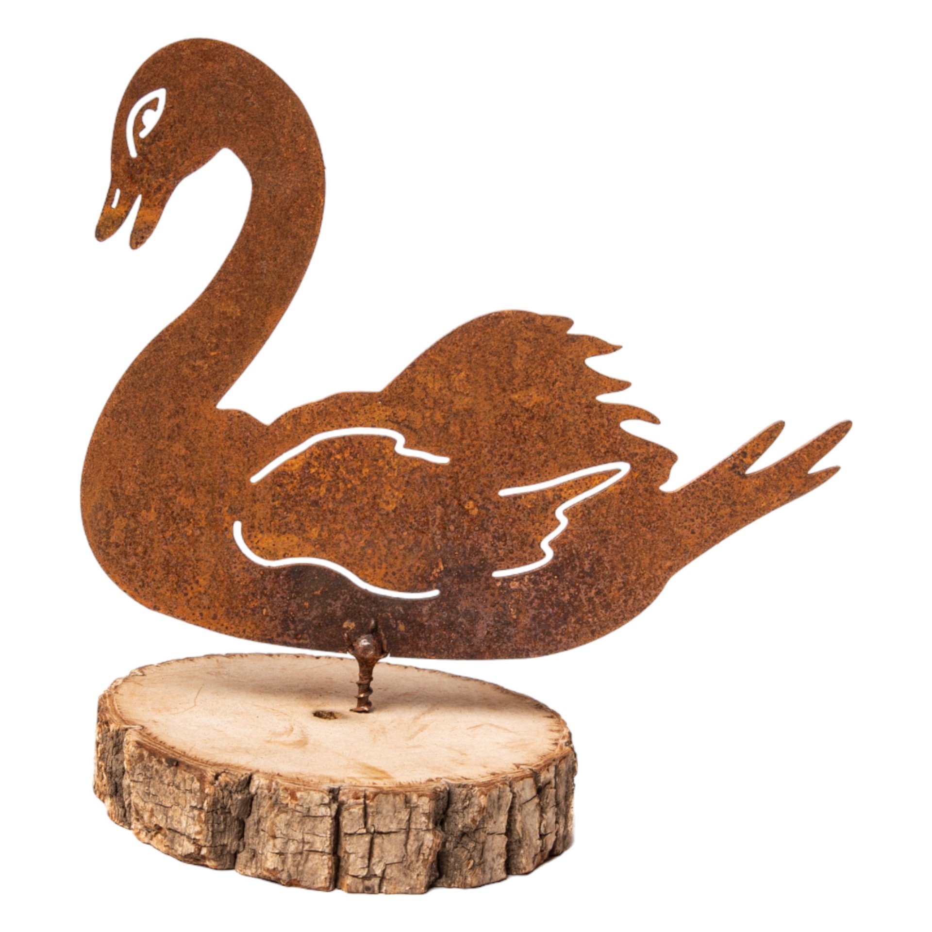 Schwan mit Dorn Darstellung von Schwan mit Dorn