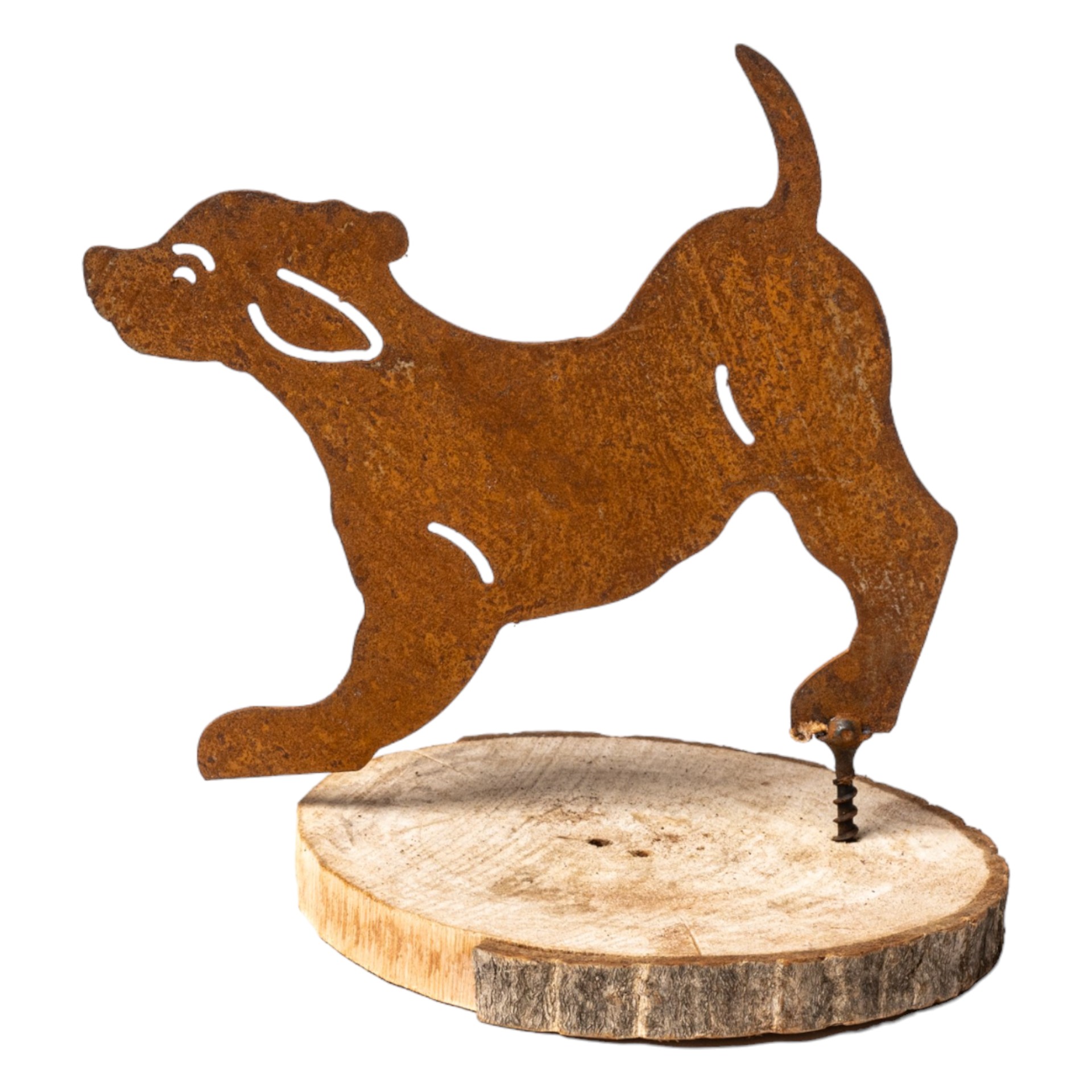 Hund mit Dorn spielend Darstellung von Hund mit Dorn spielend