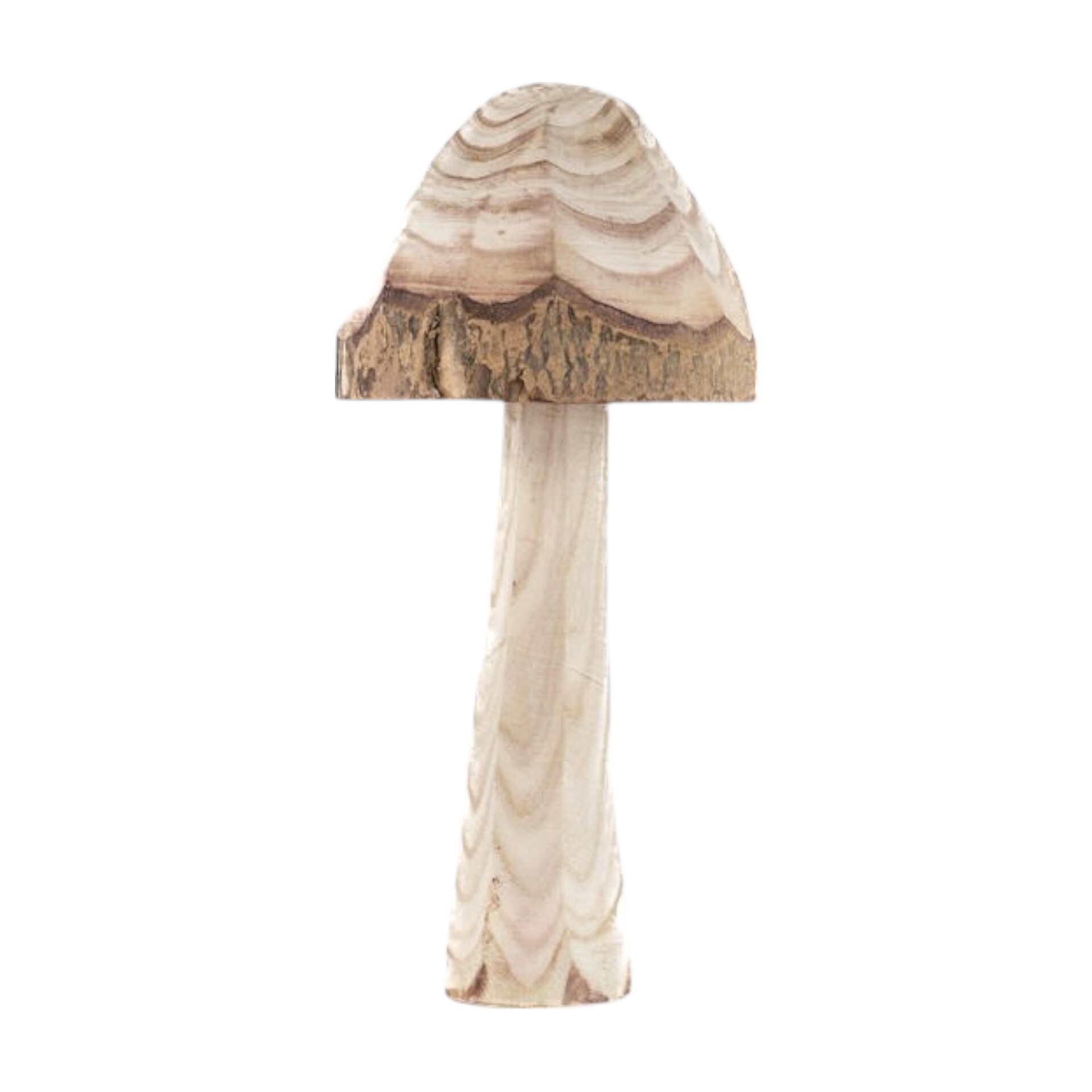 Darstellung von Holzpilz gross natur/ Rinde