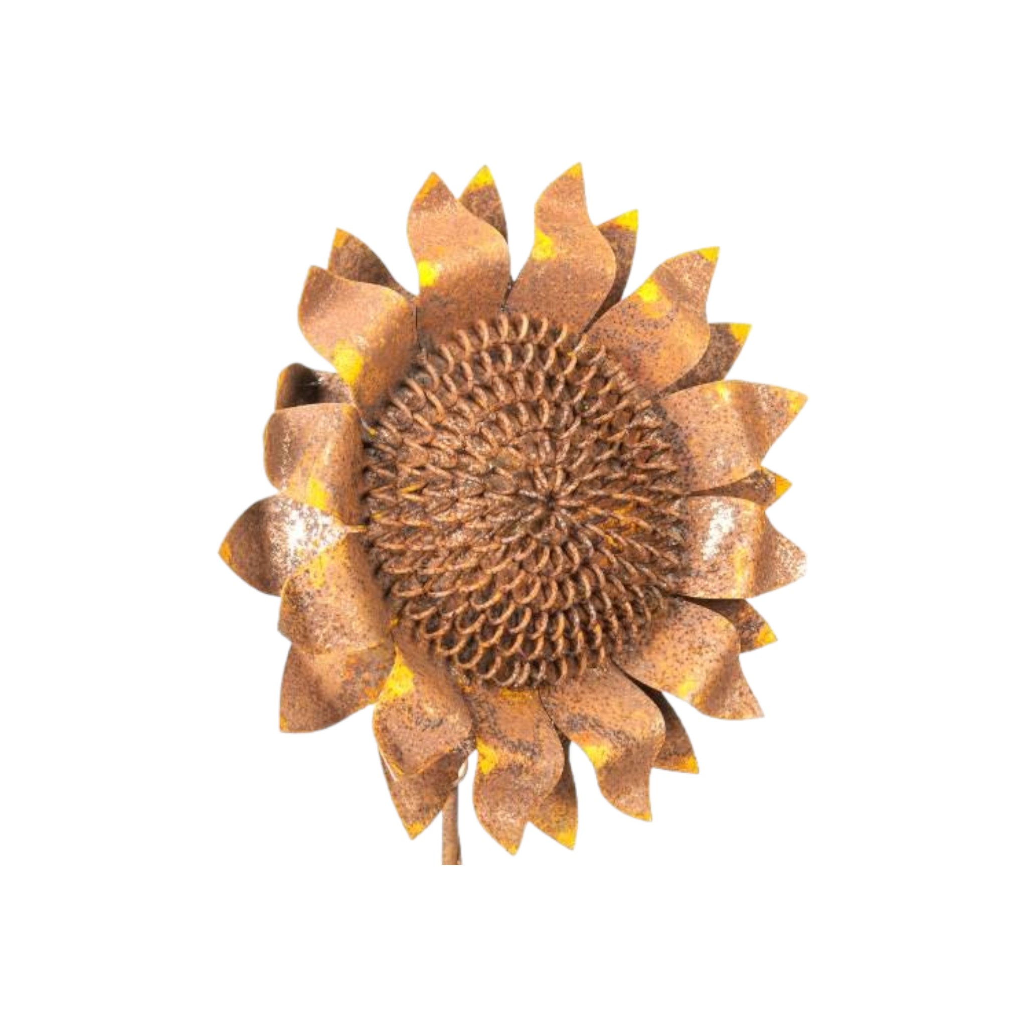 Darstellung von Sonnenblume z. Stecken rost, h= 114, d= 20 cm