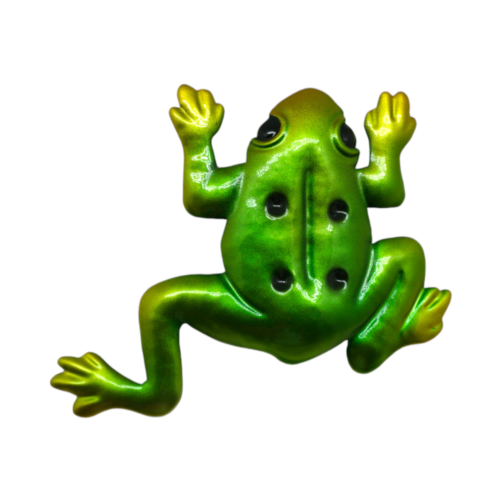 Frosch mit Magnet Beine gespreitzt Darstellung von Frosch mit Magnet Beine gespreitzt