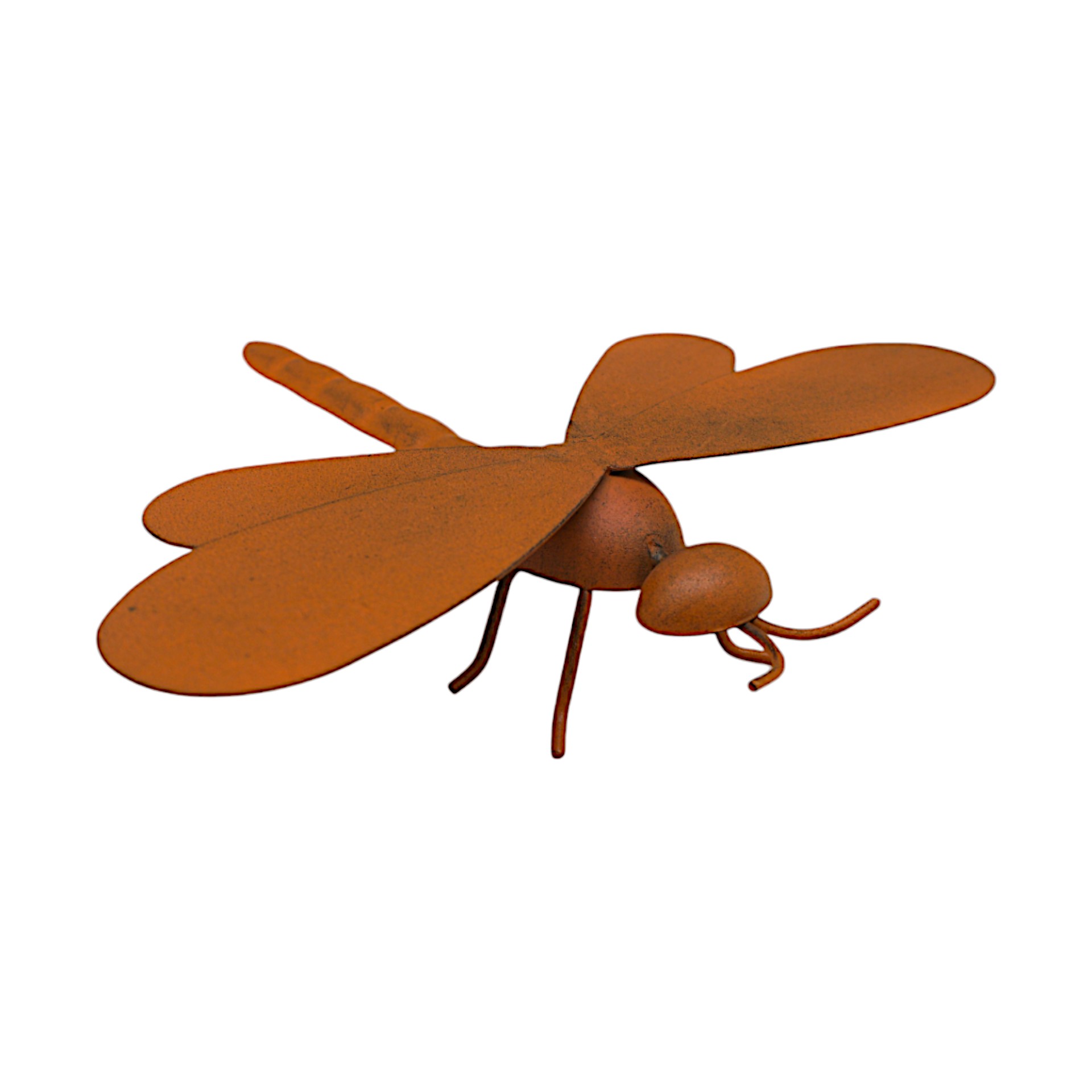 Libelle rost z. Stellen Darstellung von Libelle rost z. Stellen