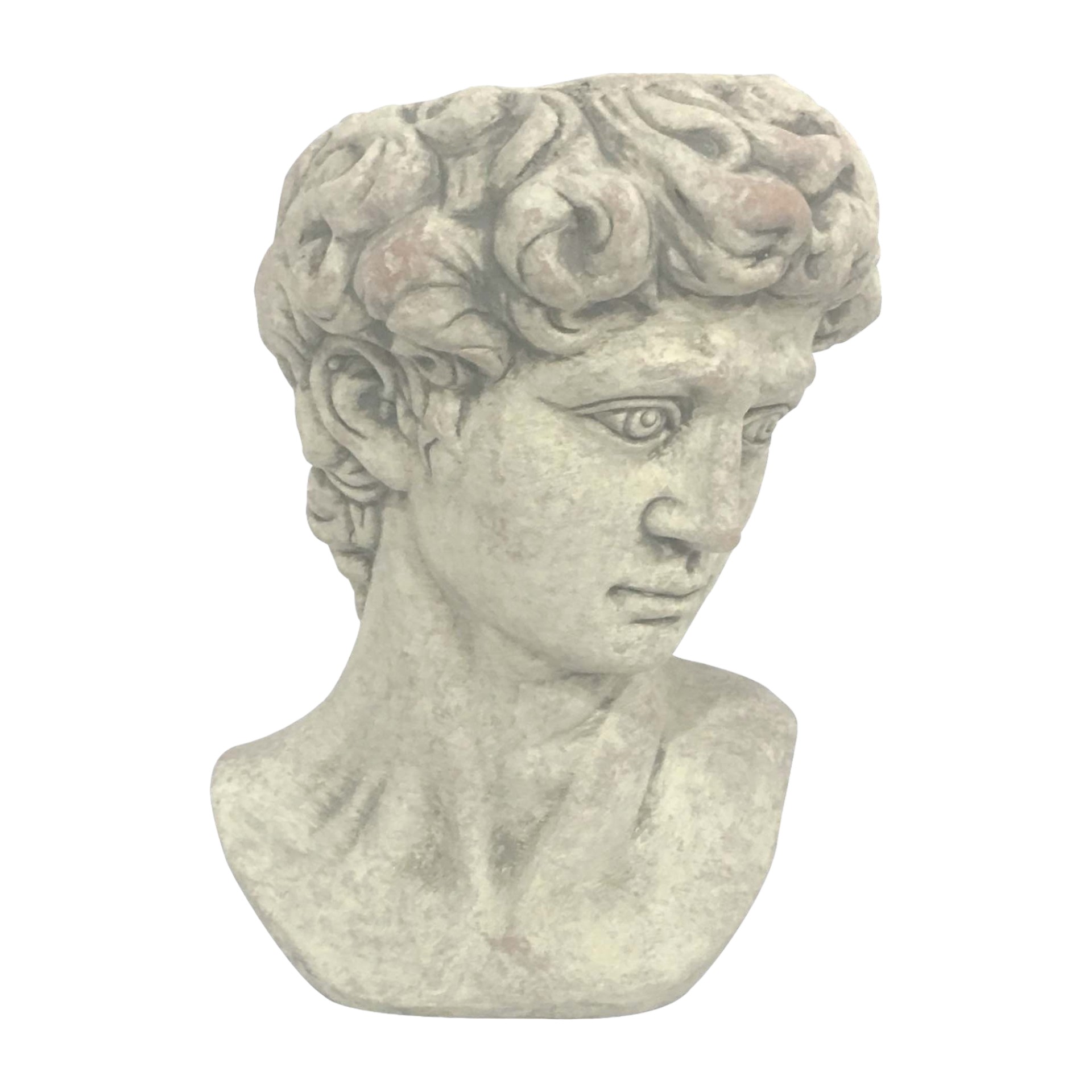 Männerkopf z. bepflanzen Darstellung von Männerkopf z. bepflanzen