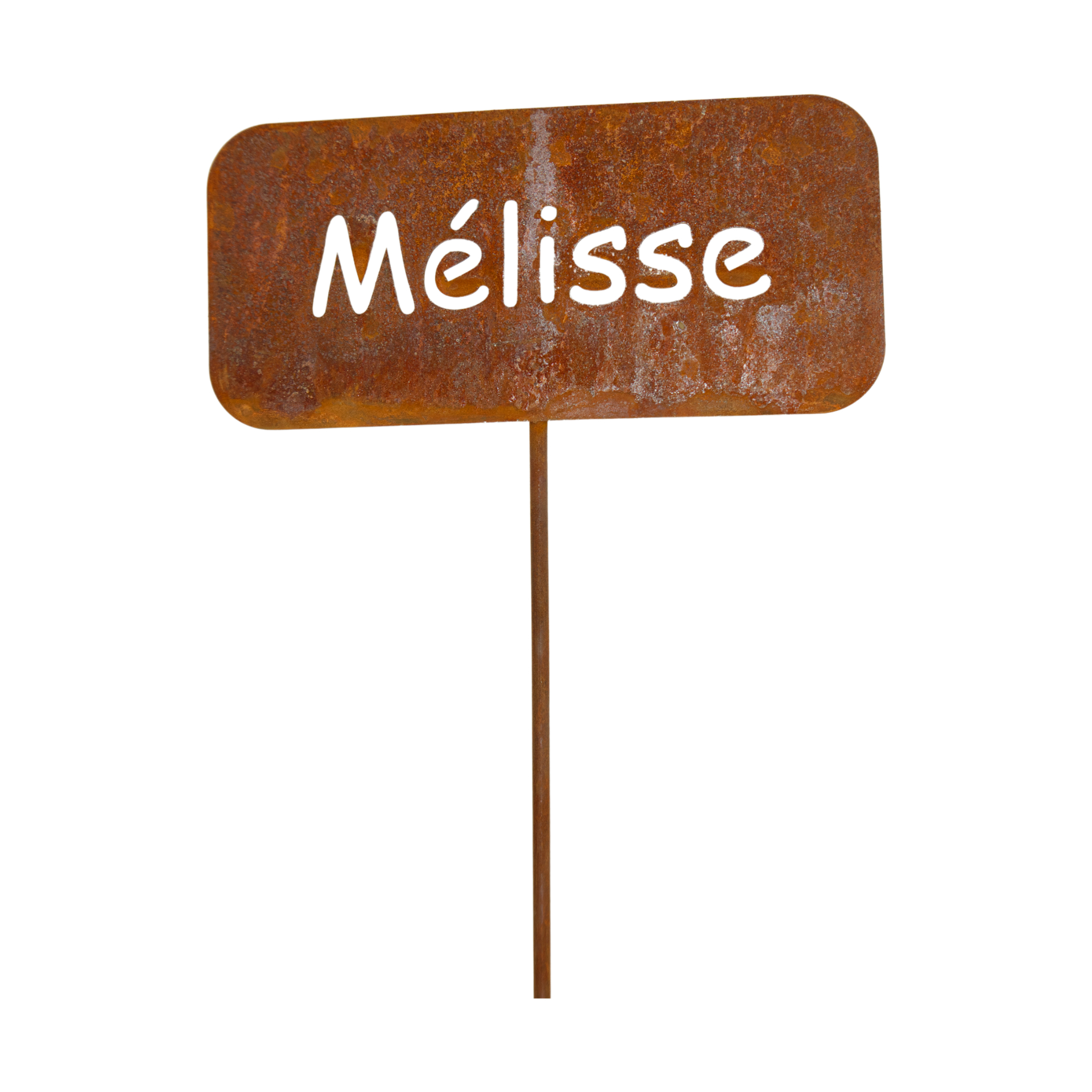 Darstellung von Gewürzstecker eckig auf Stab Melisse