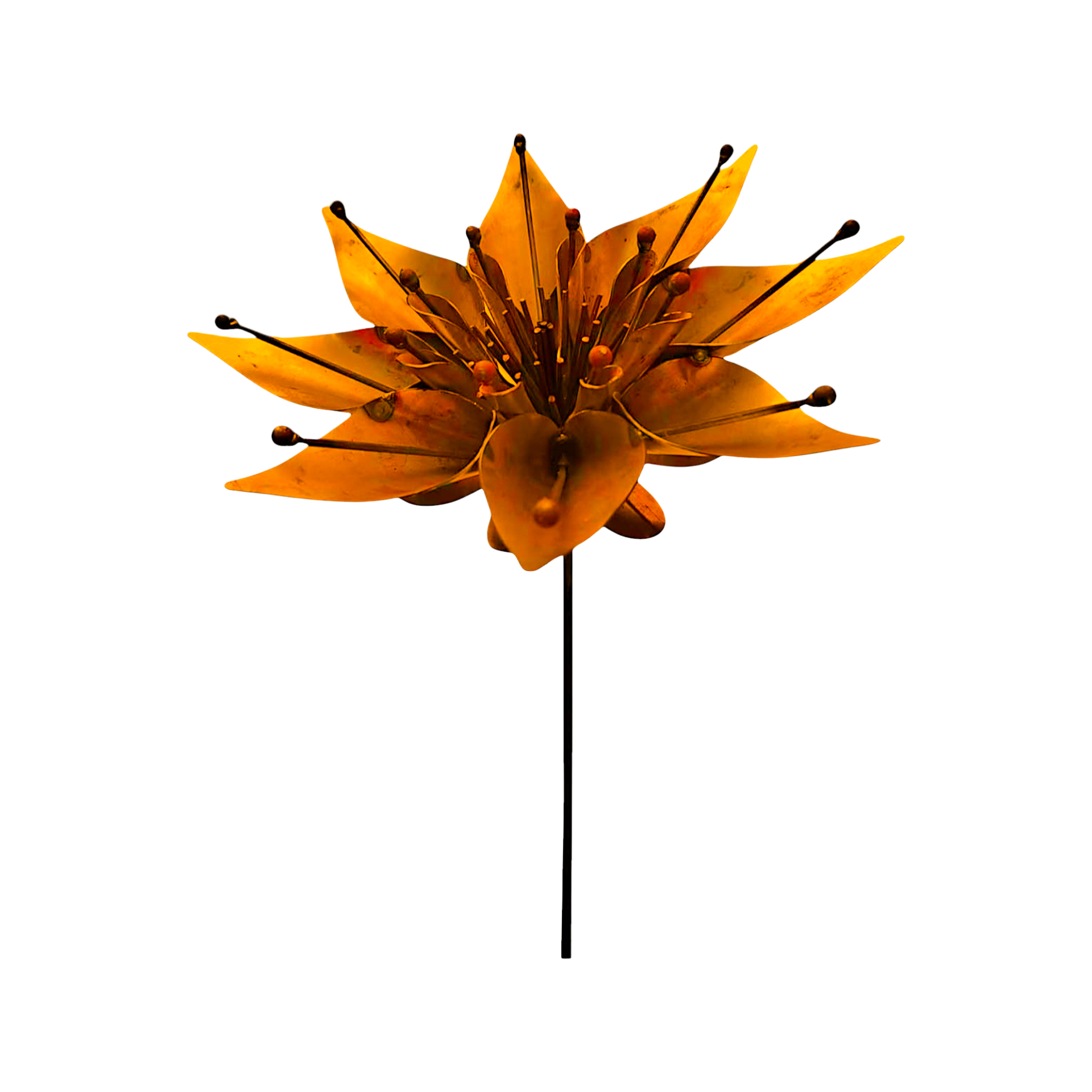 Darstellung von Lotusblume z. Stecken