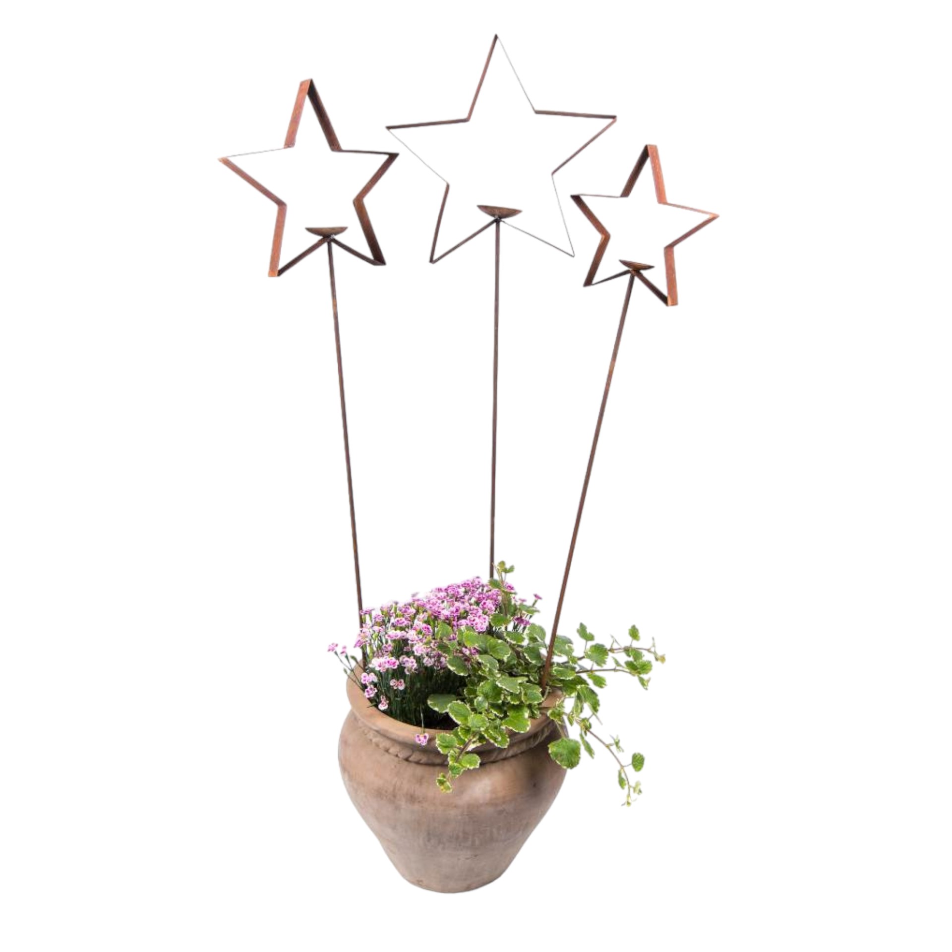 Darstellung von Stern mittel m. Teller h= 123 cm