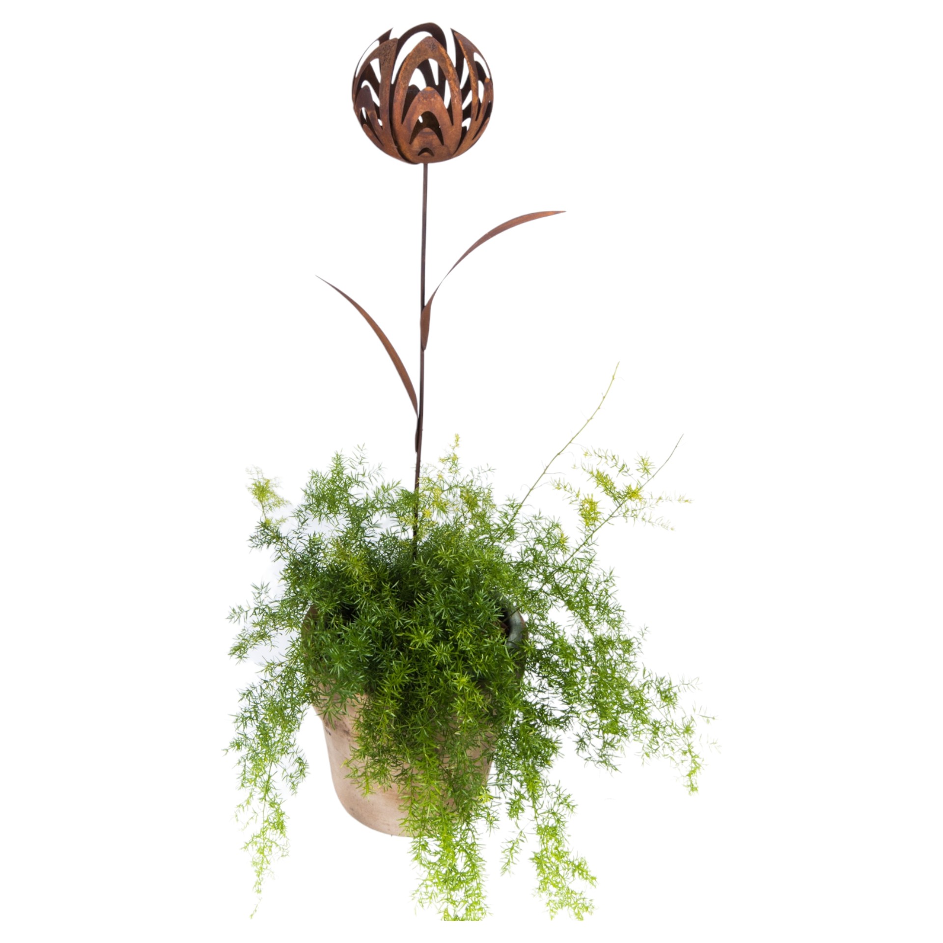 Tulpe 1 Blüte klein z. Stecken 2 Blätter Darstellung von Tulpe 1 Blüte klein z. Stecken 2 Blätter