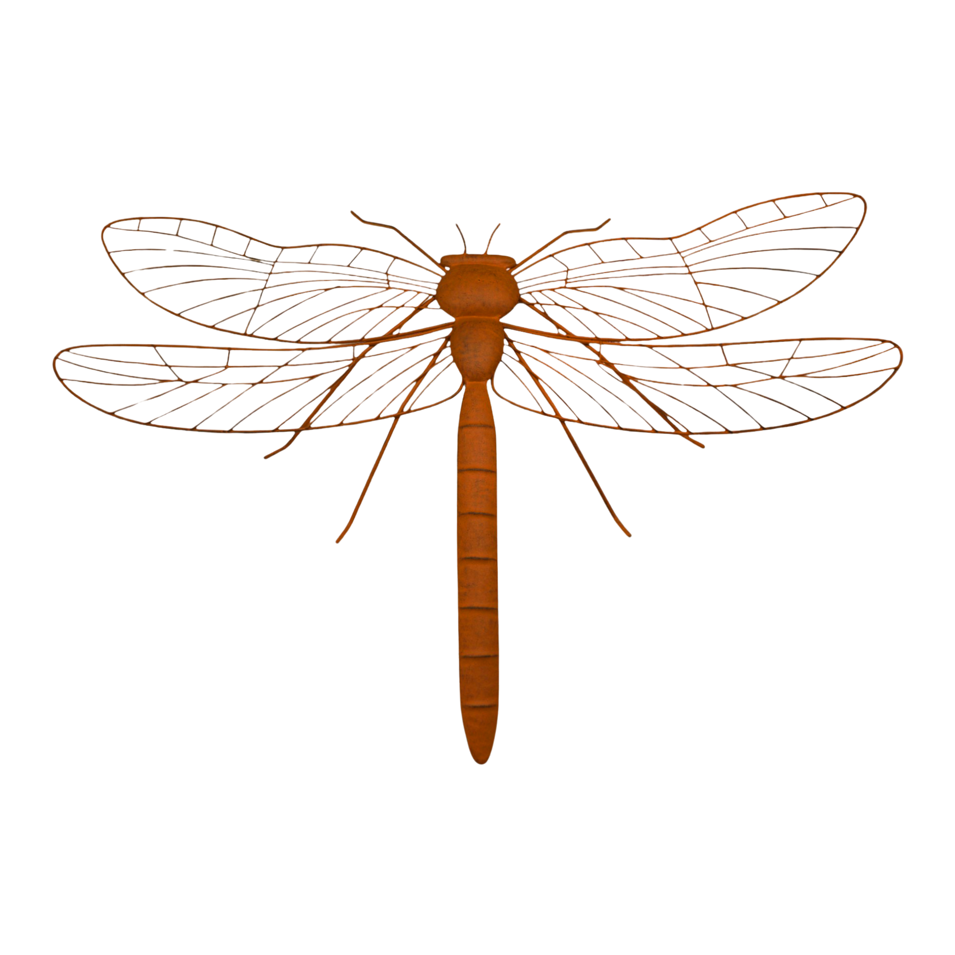 Darstellung von Libelle rost z. Hängen