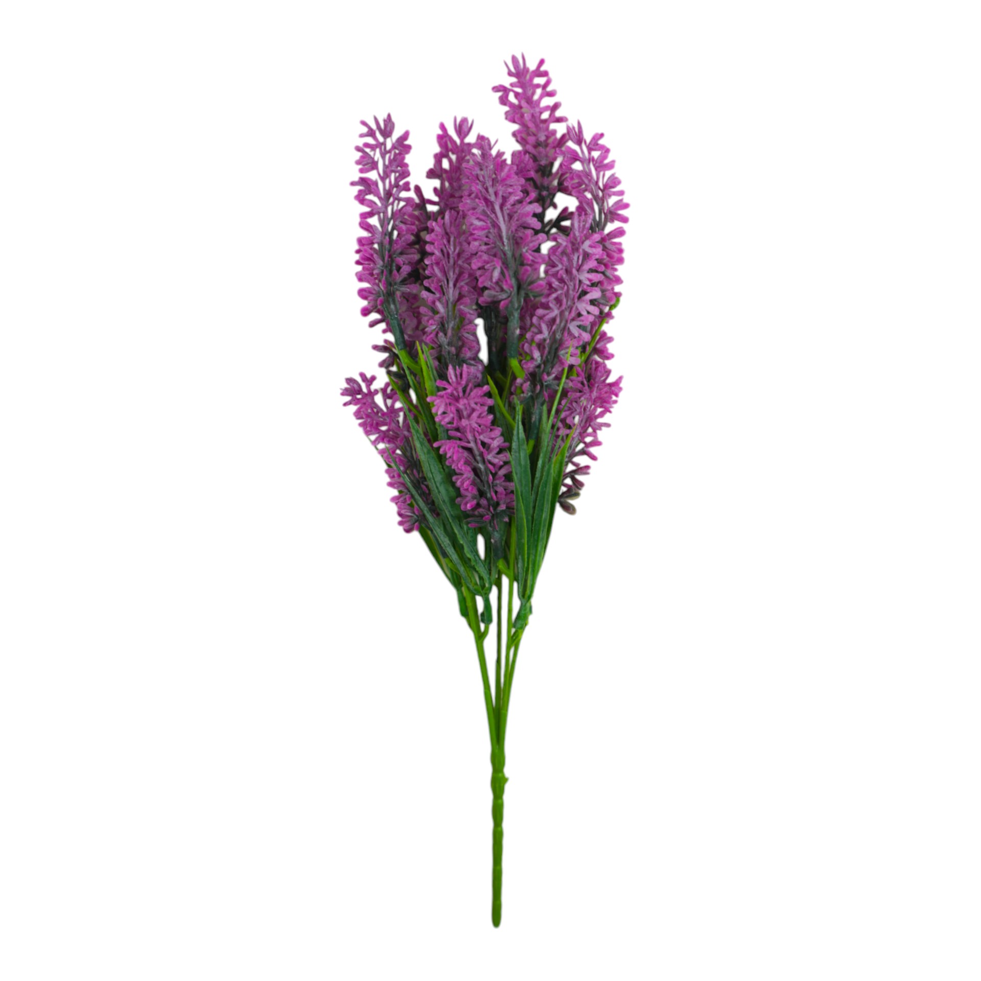 Darstellung von Lavendel pink h= 35 cm