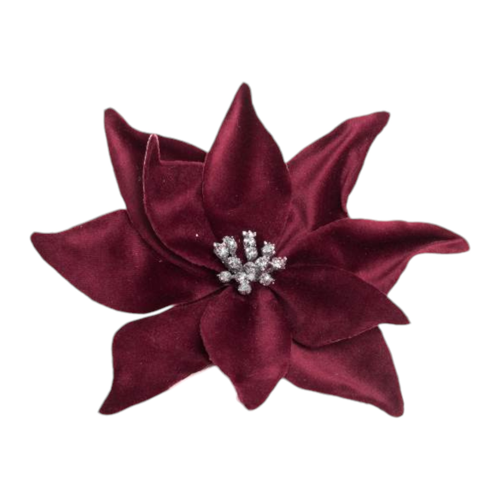 Blüte bordeauxrot mit Clip Darstellung von Blüte bordeauxrot mit Clip