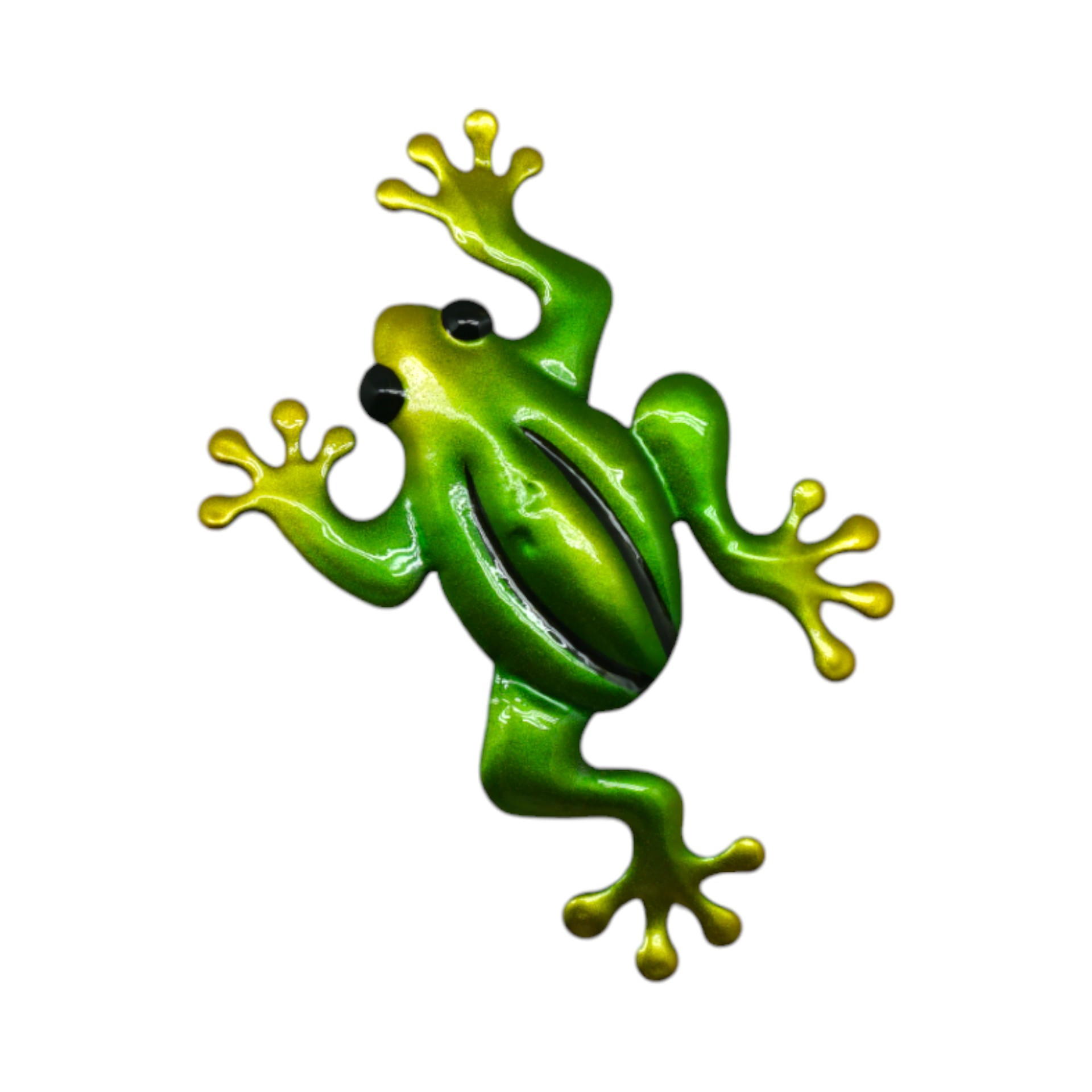 Darstellung von Frosch mit Magnet Beine gestreckt