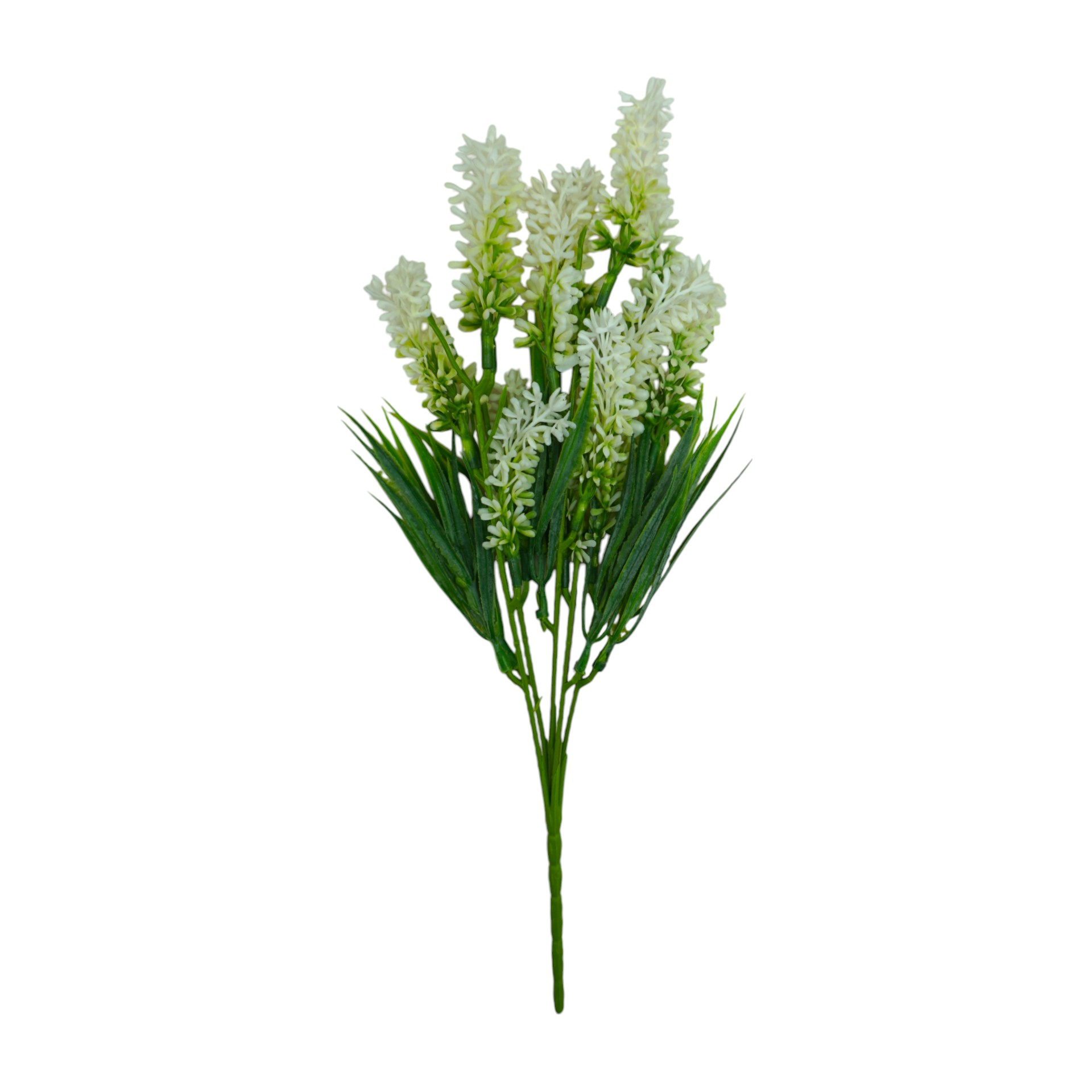 Darstellung von Lavendel weiss h= 35 cm