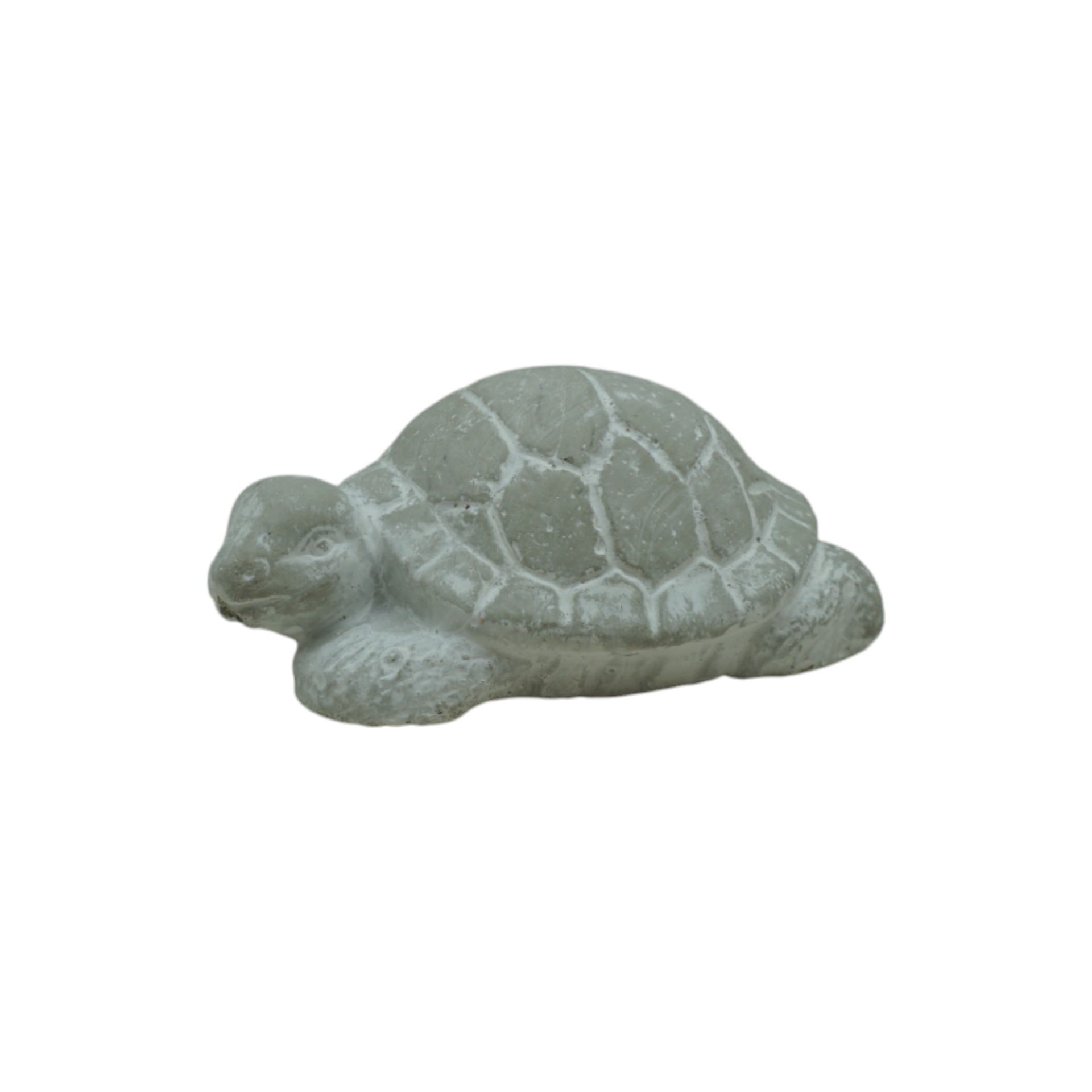 Darstellung von RP Schildkröte creme weiss glasiert