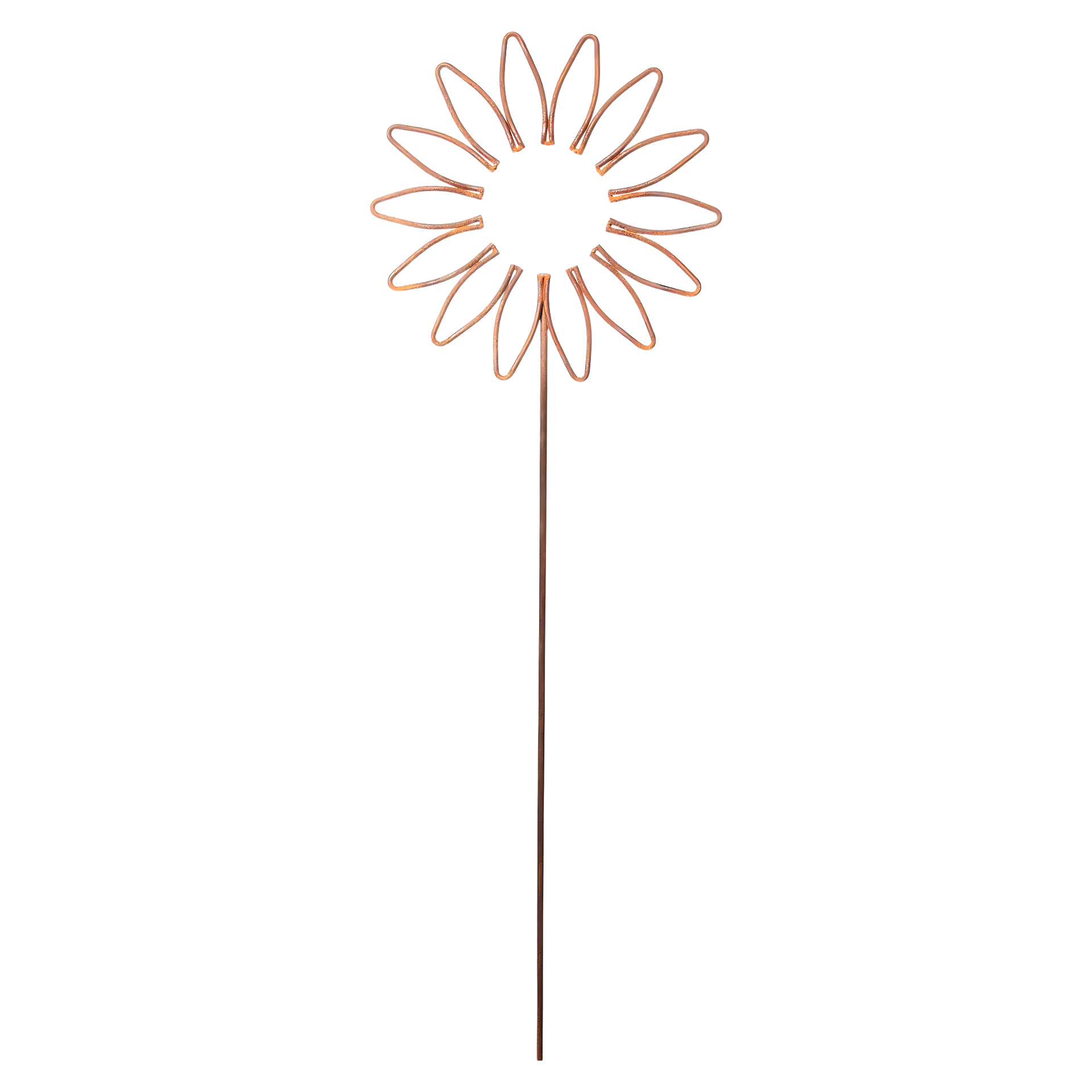 Darstellung von Blume spitz gross