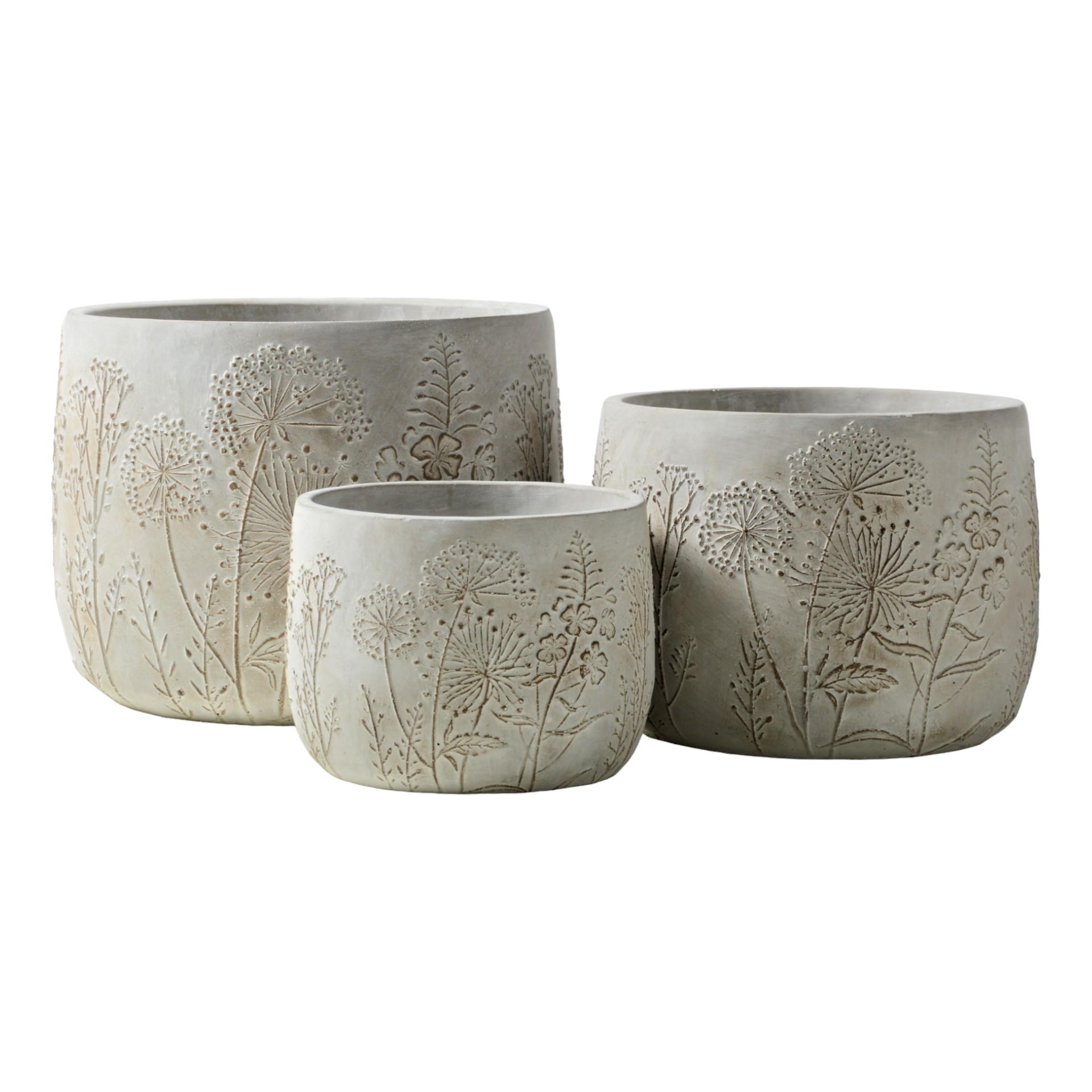 Topf Pusteblume nieder Darstellung von Topf Pusteblume nieder