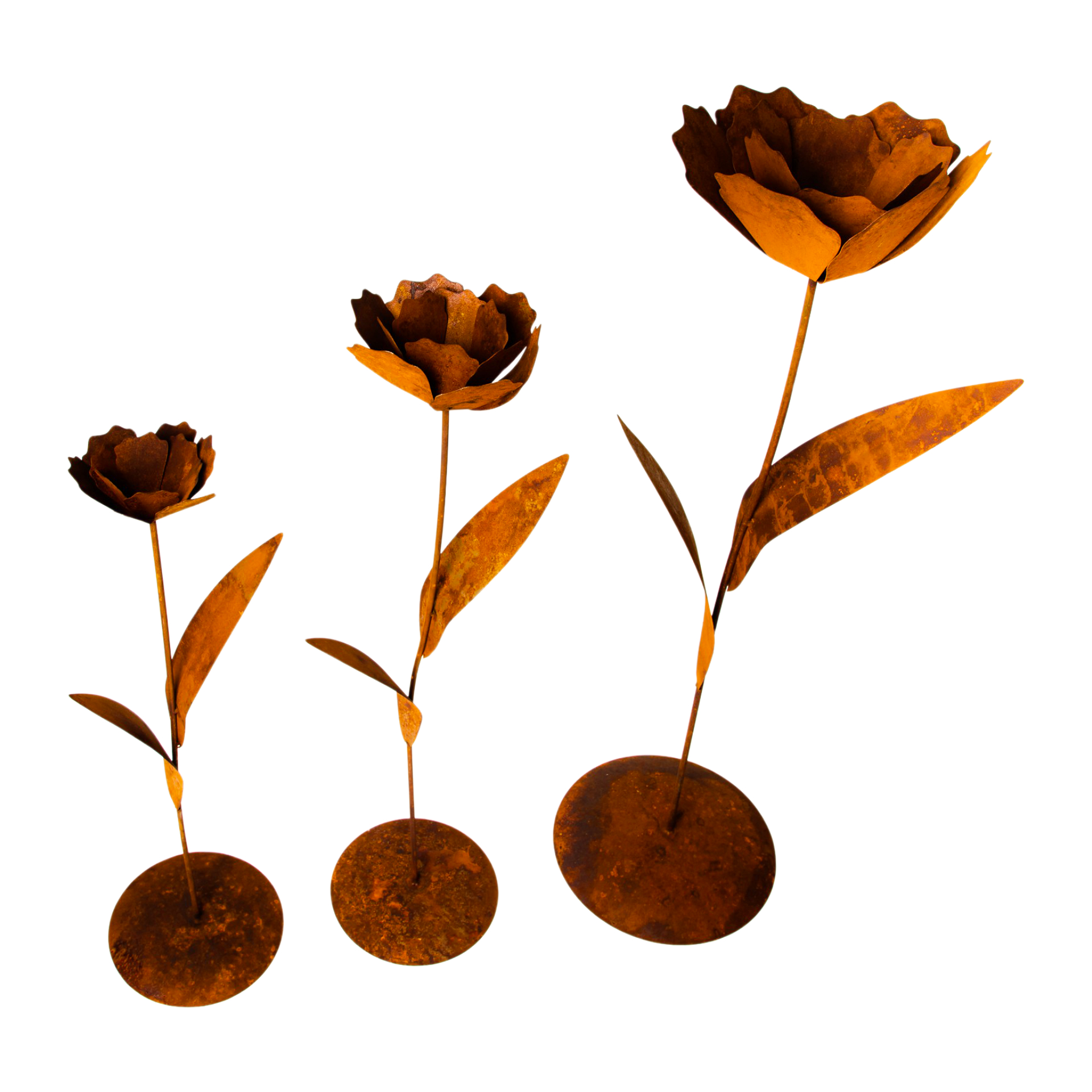 Darstellung von Rose klein auf Platte mit 2 Blätter