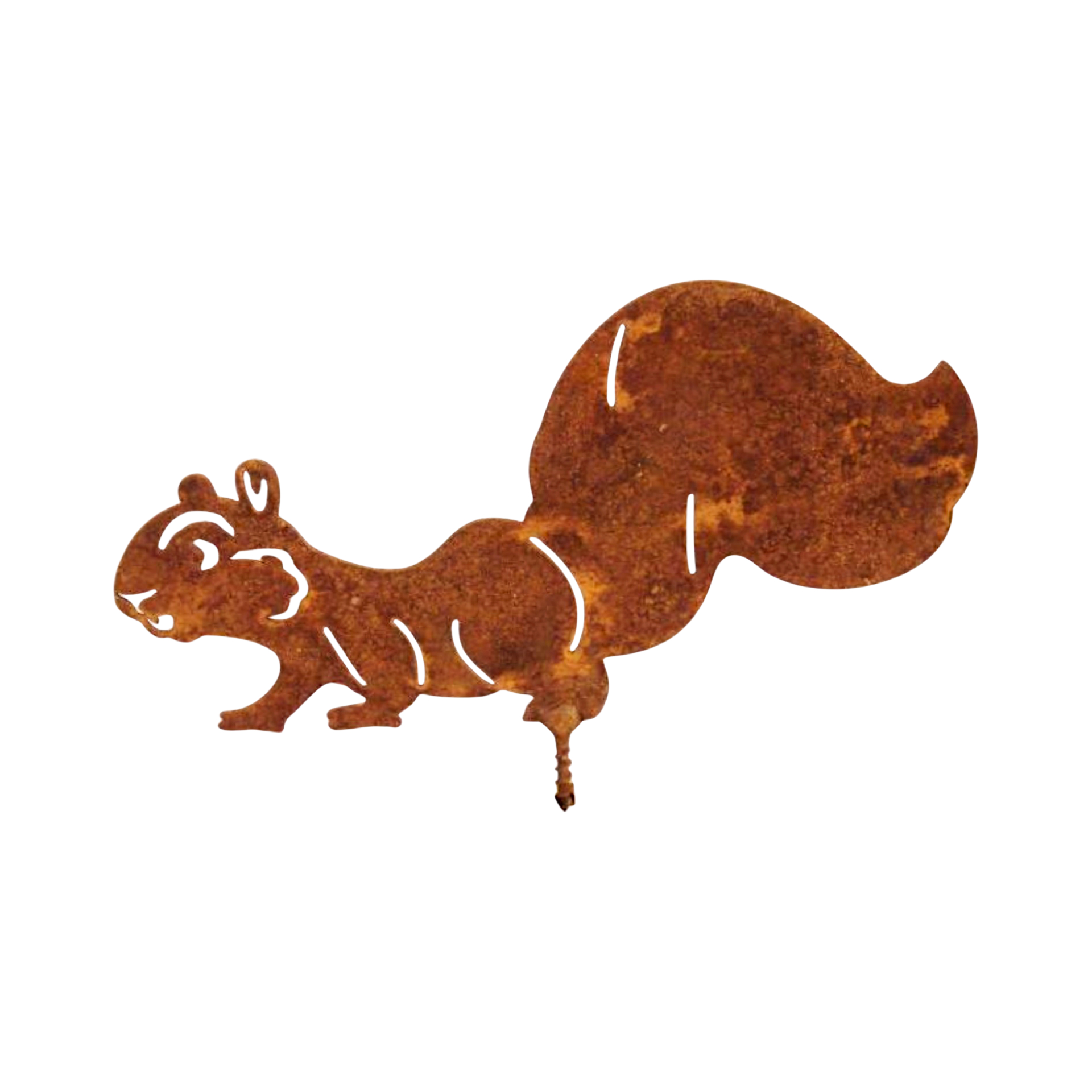 Darstellung von Eichhörnchen laufend m. Dorn ROST