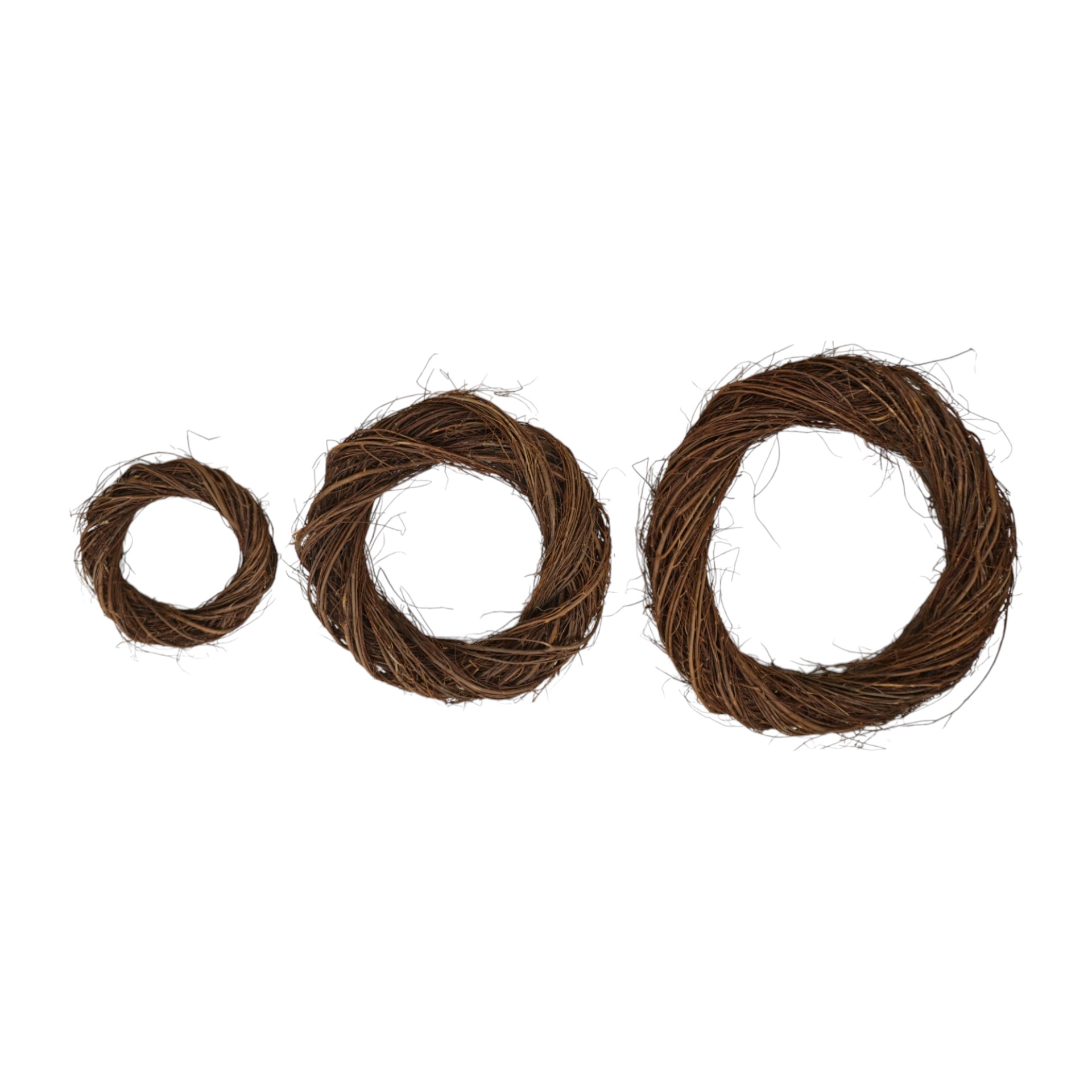 Darstellung von Naturkranz fein mittel