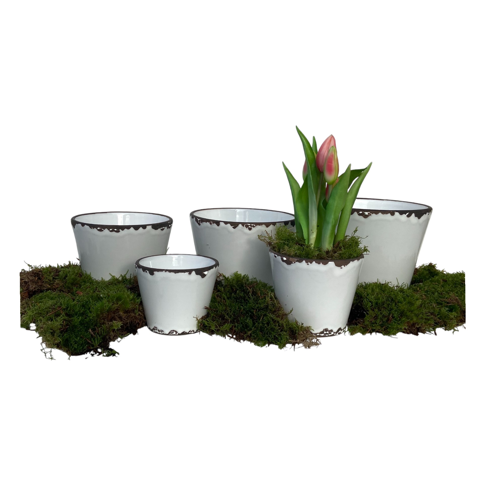 Darstellung von RP Topf Flora WEISS 14,5x12,5 cm