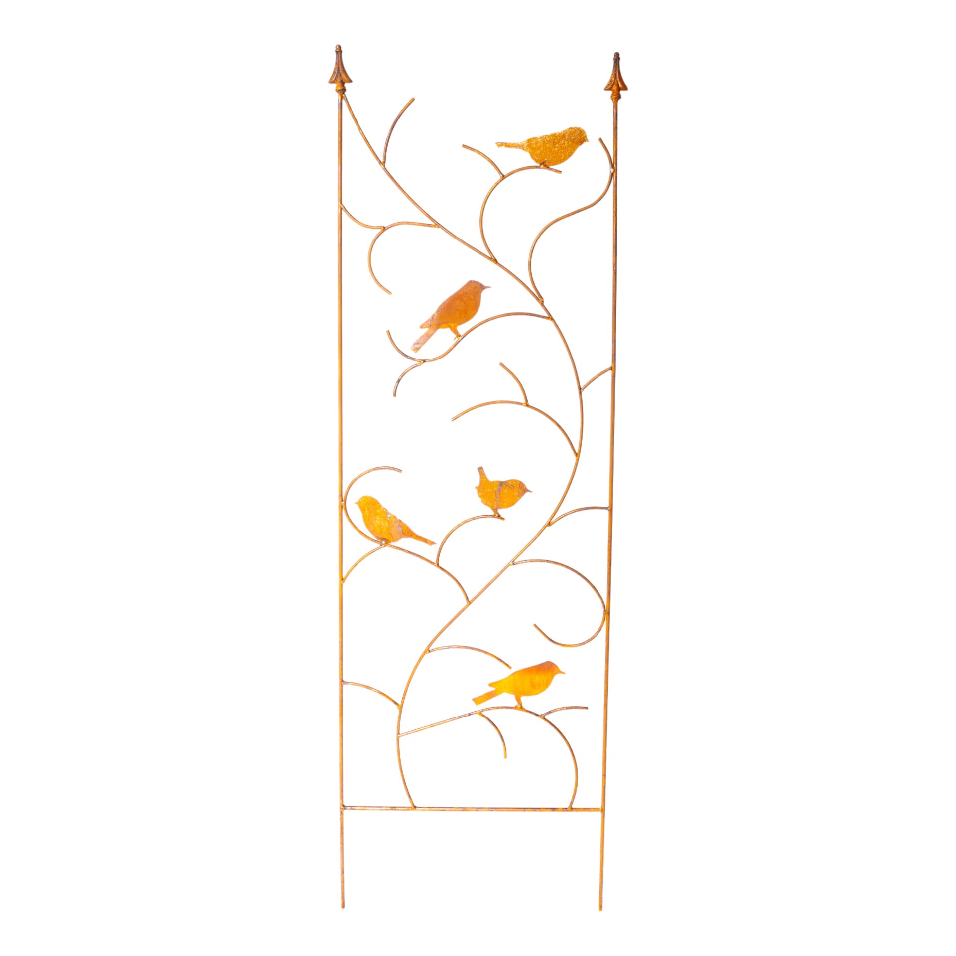 Rankwand 2 Spitzen mit 5 Vögel Darstellung von Rankwand 2 Spitzen mit 5 Vögel