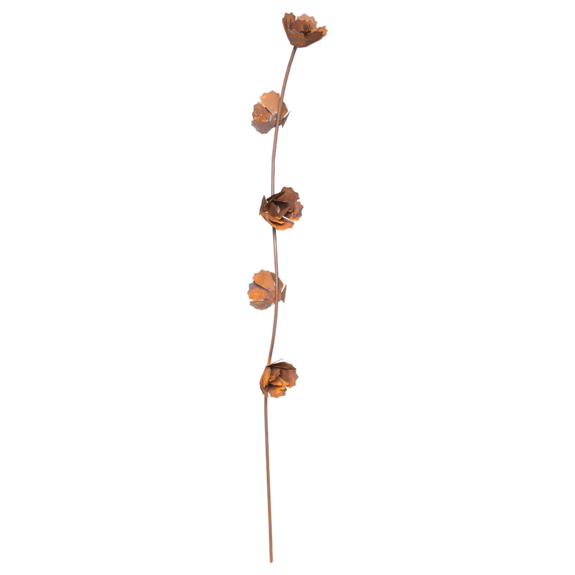 Darstellung von Rankstab klein mit 5 Blüten