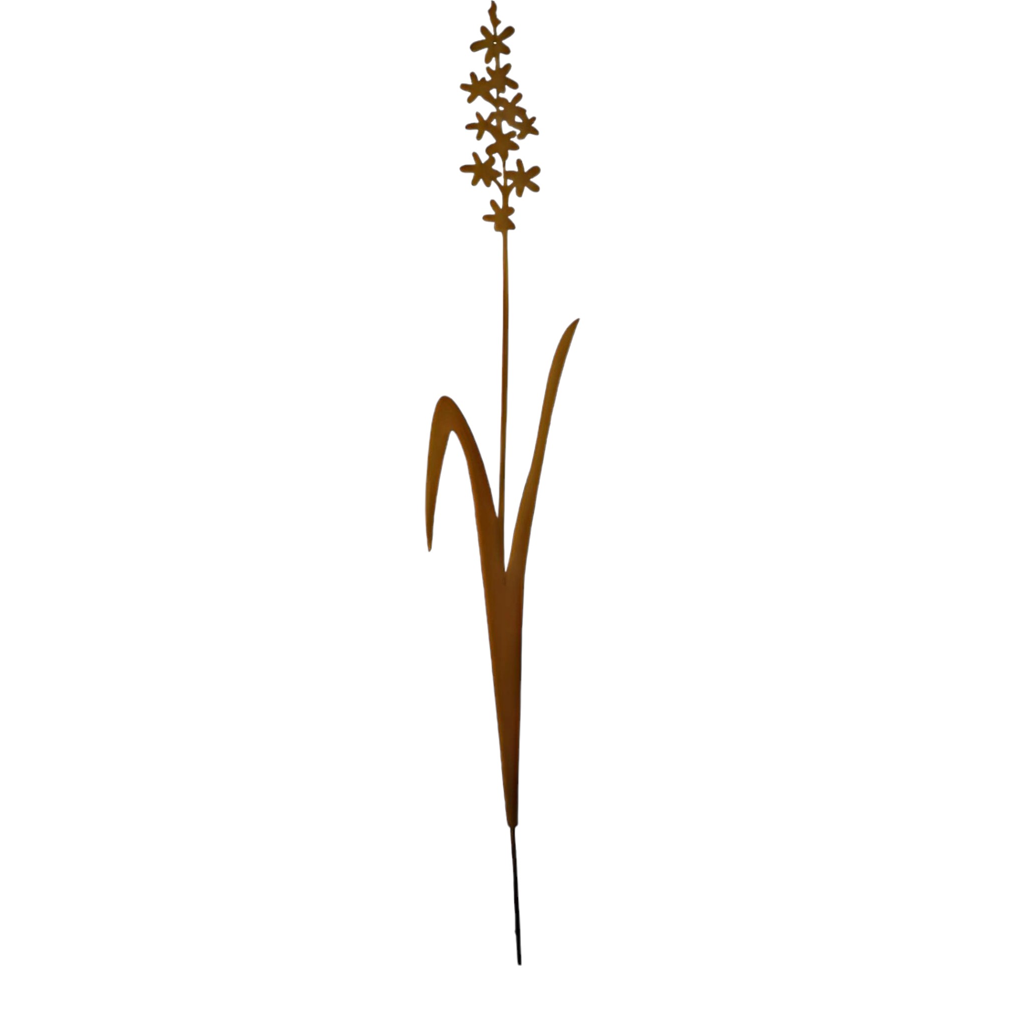 Darstellung von Lavendelblume z. Stecken